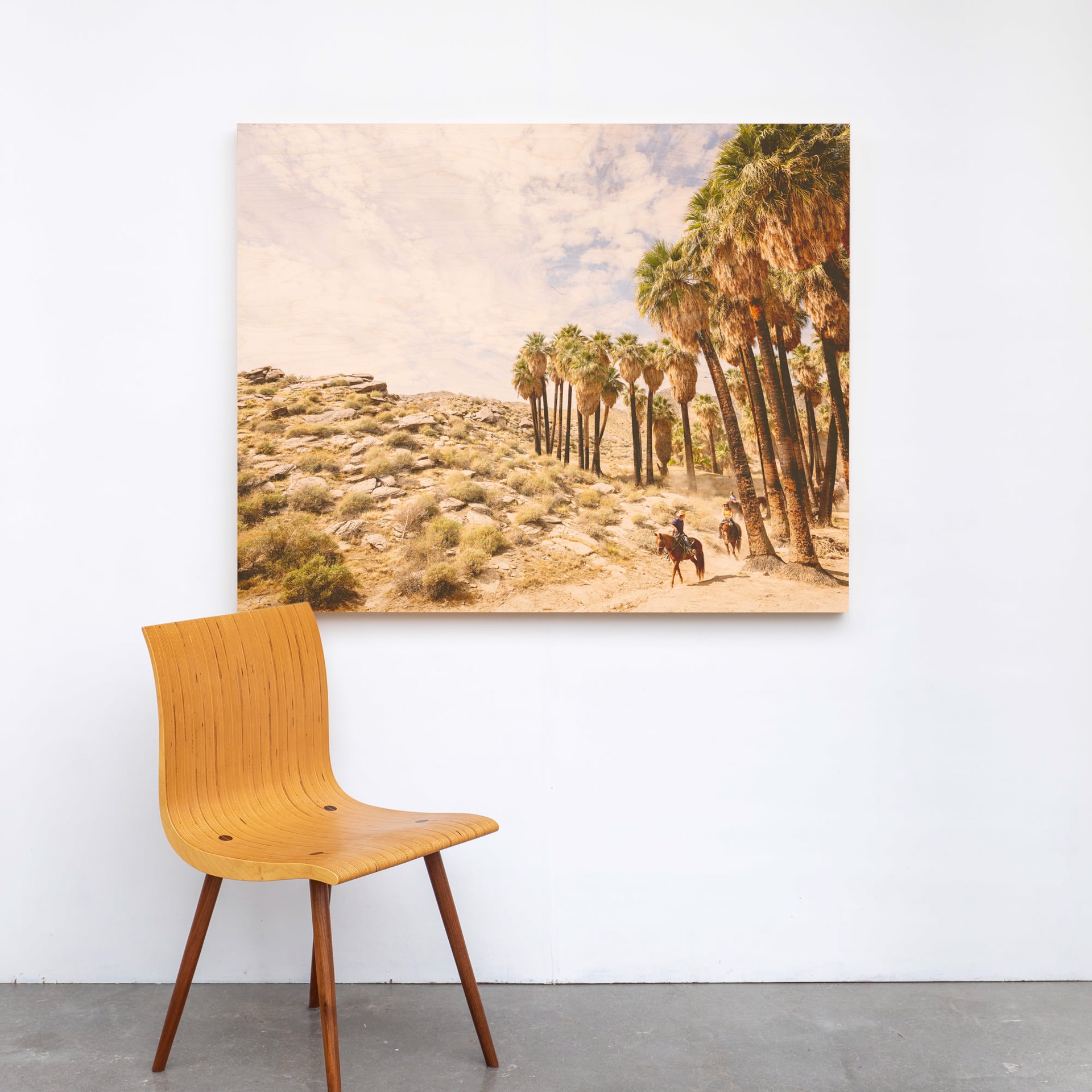 Palm Canyon by Patrick Lajoie