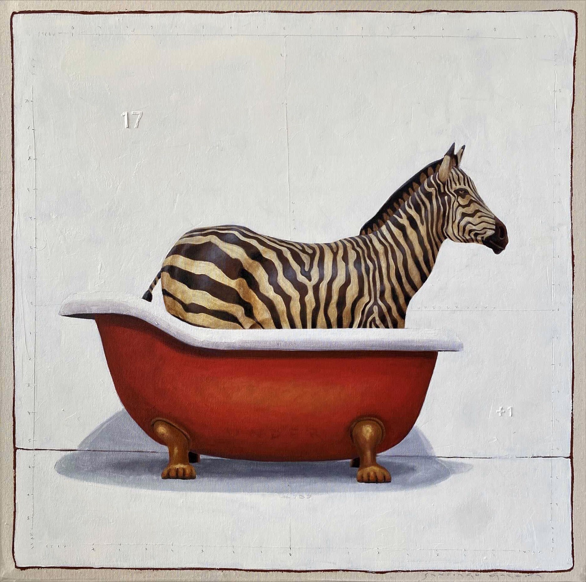 Zebra by SANTIAGO GARCIA