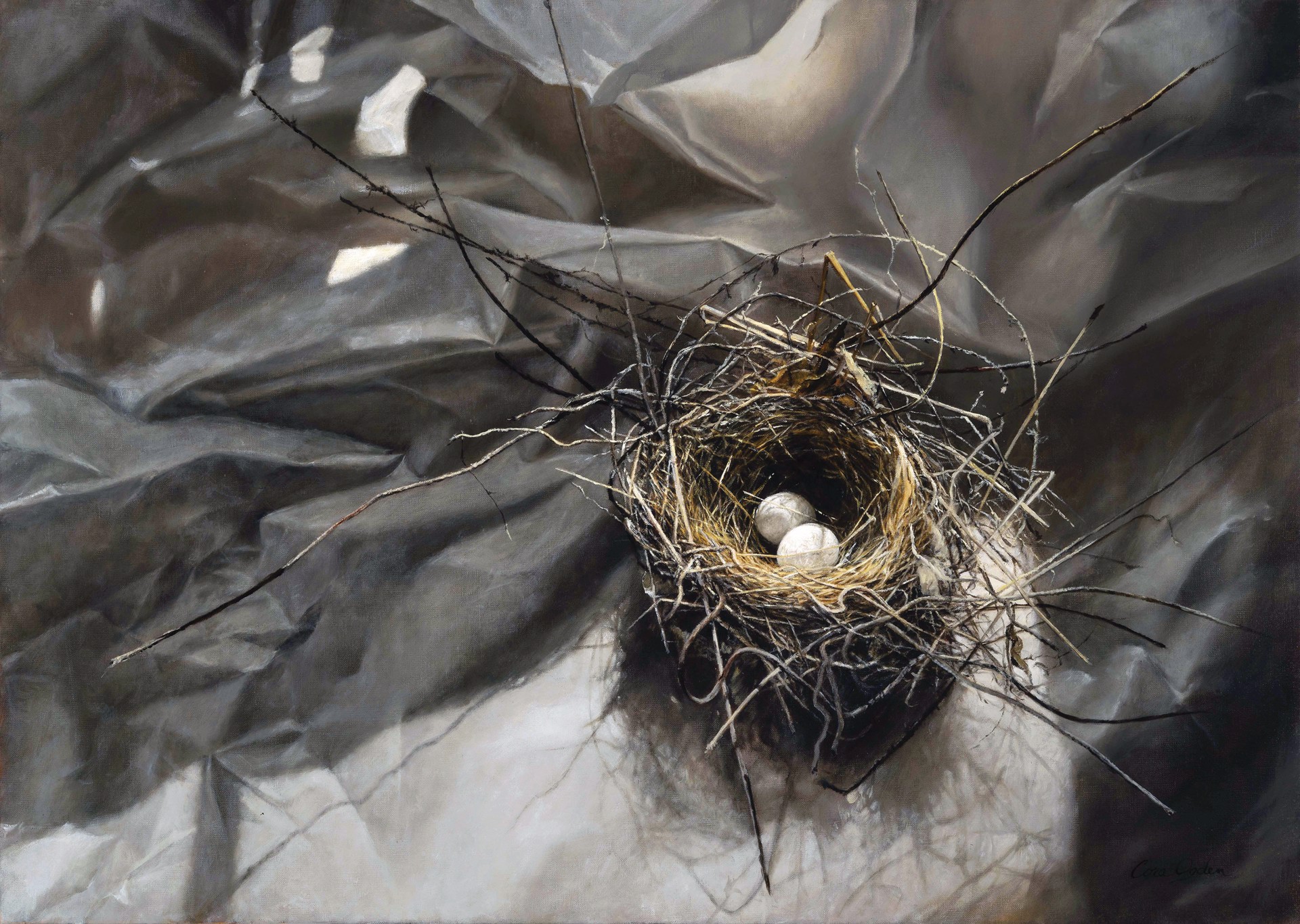 The Nest by Cora Ogden