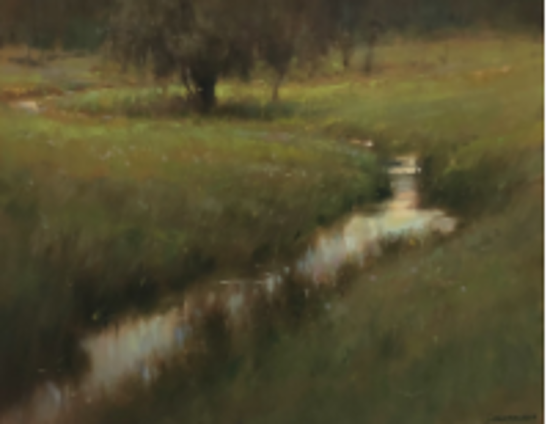 The Meadow by John MacDonald