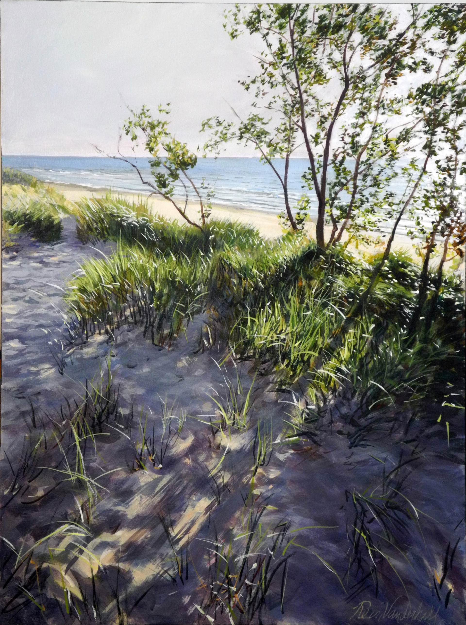 In Fore dune Shadow by Rein Vanderhill