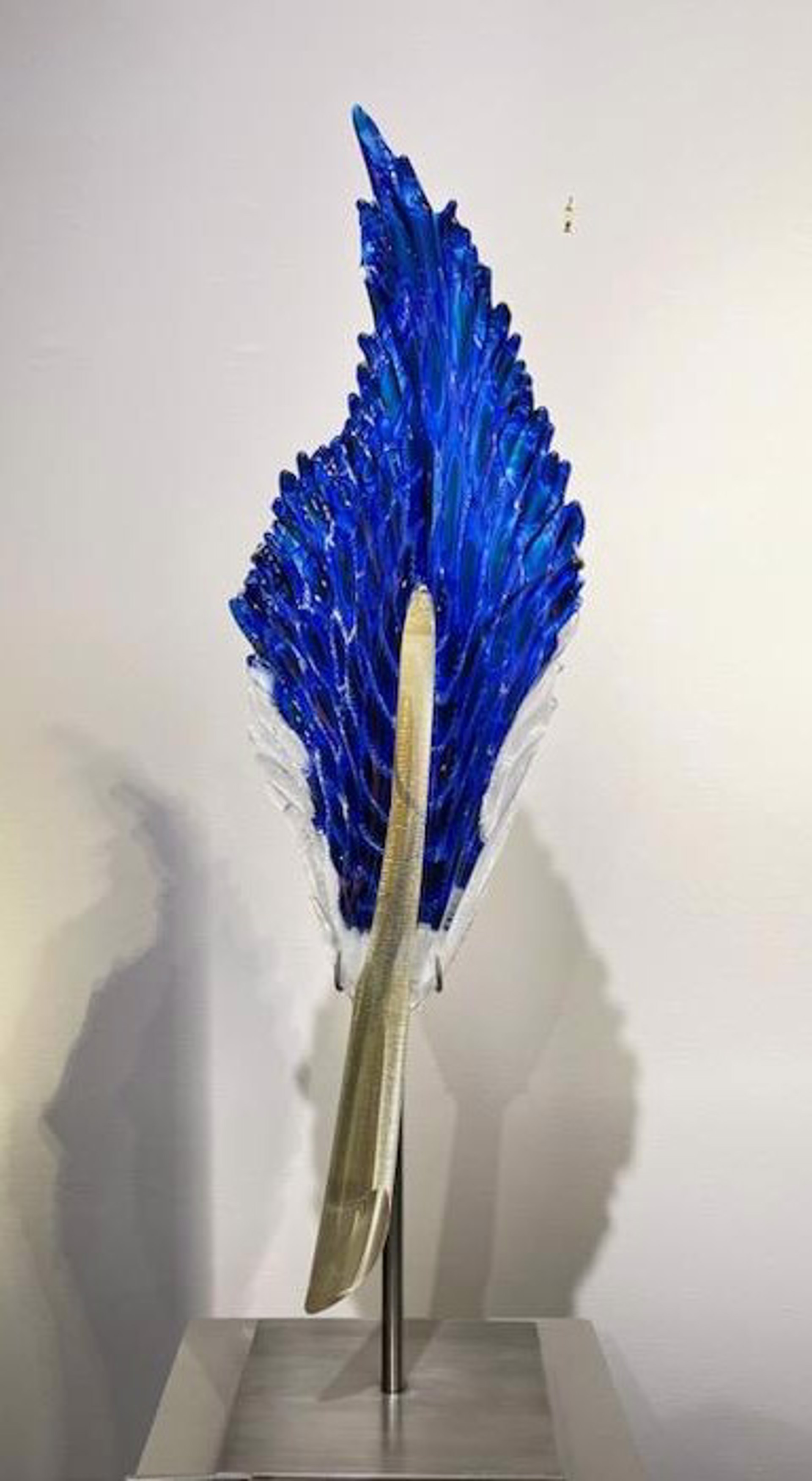 Peacock Standing Feather by Nic McGuire