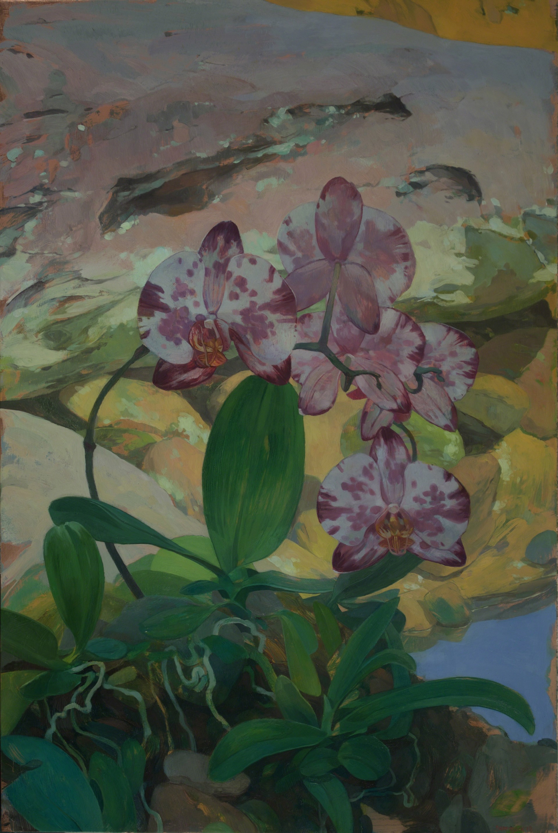 Orchids in Rocky Landscape by Benjamin J. Shamback