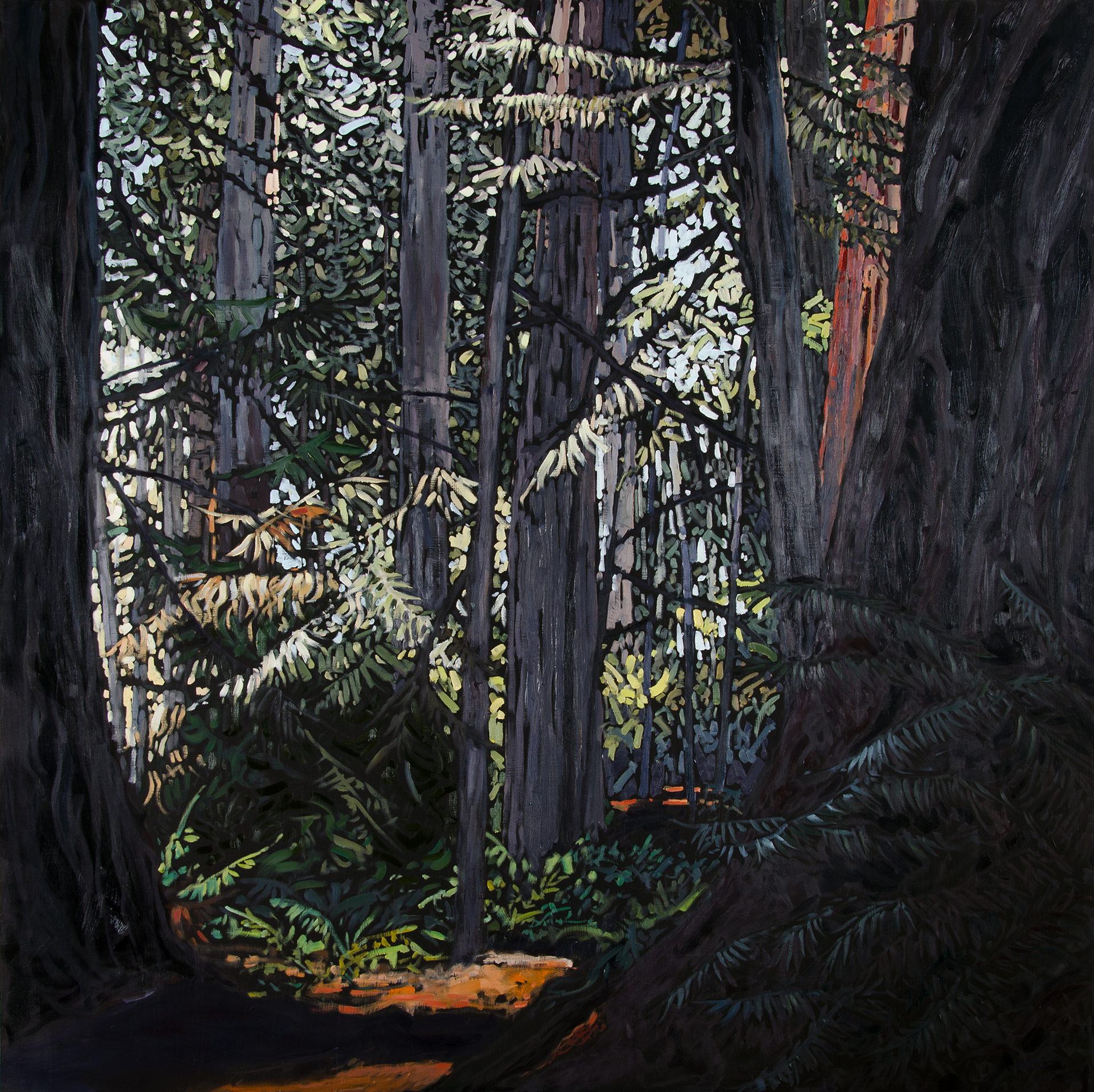 The Forest Awakens by Deb Komitor