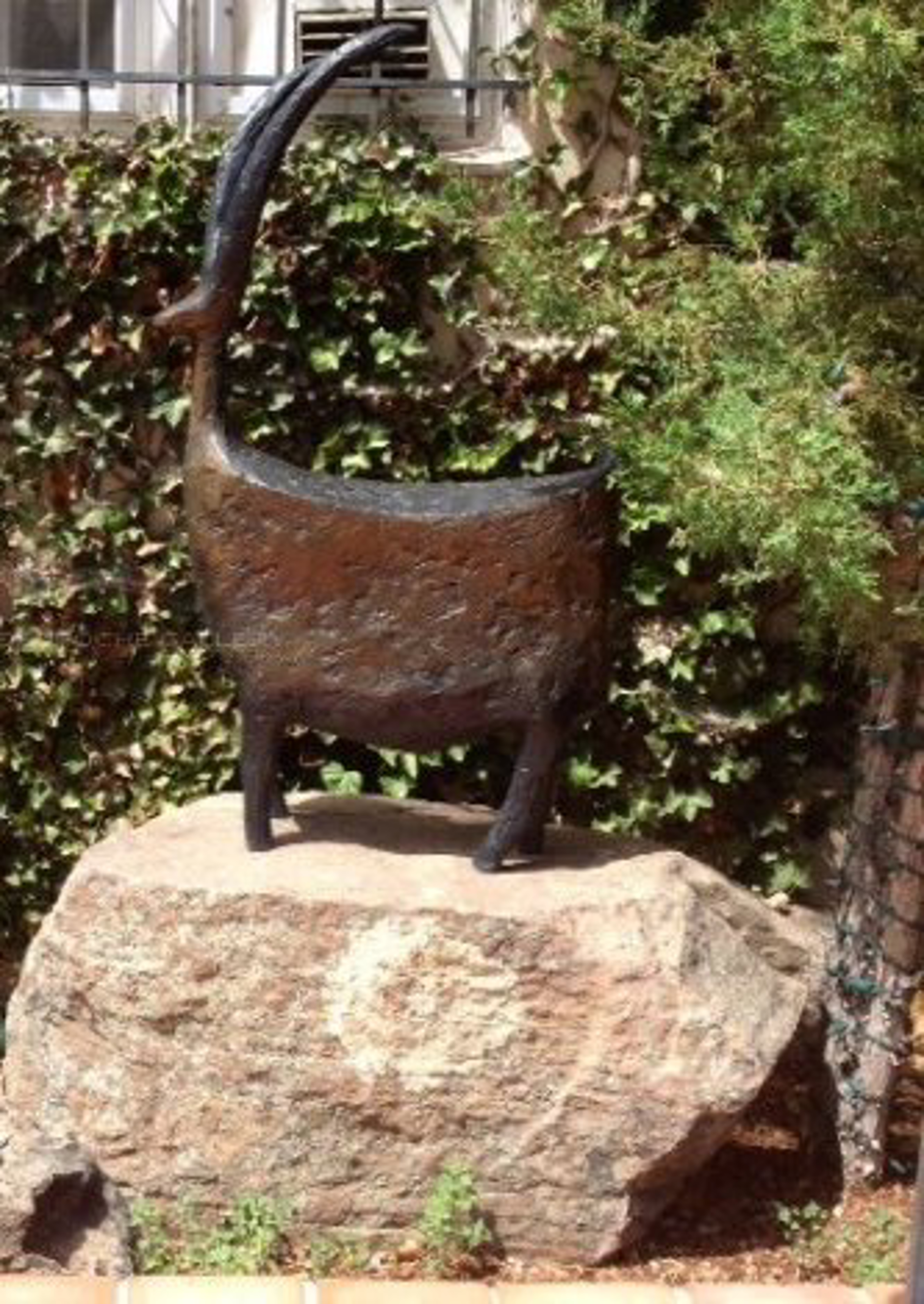 BIG  LISTENER - Bronze Sculpture $10,500 (45"x25"x10) Rock pedestal $1250 (18"x45"x18") May be purchased separately or together for a total of $11,750 by Jill Shwaiko
