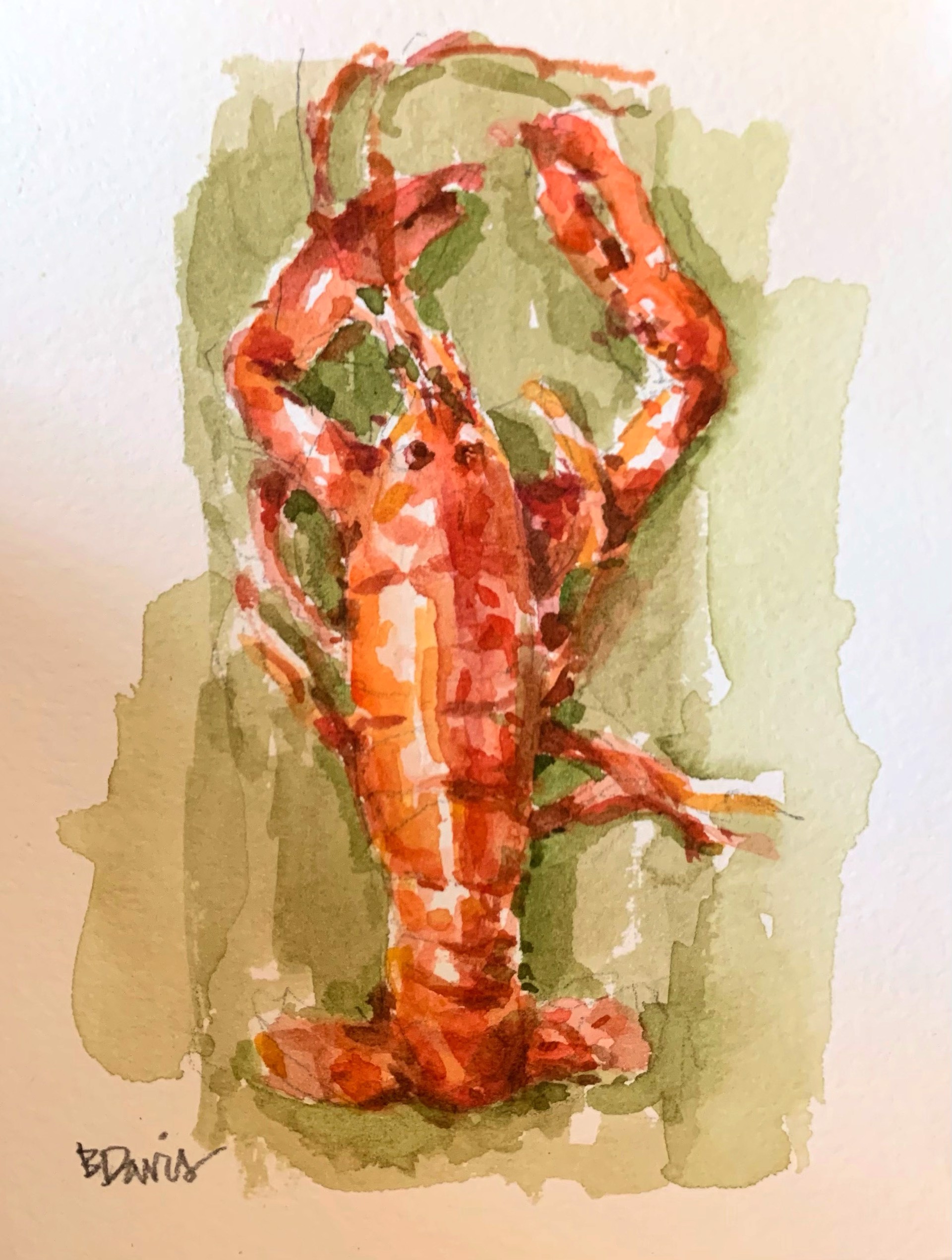 A Little Lobster by Barbara Davis