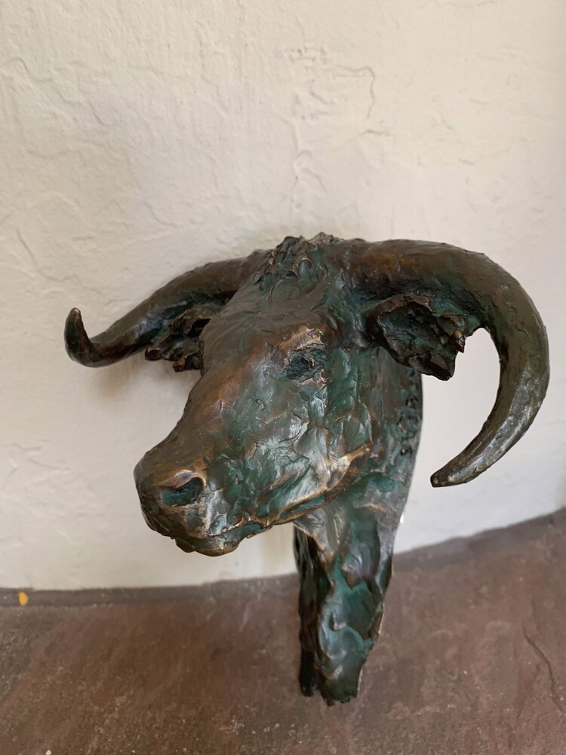 Steer Head (Curved Horns) Wall Mounted (Edition of 30) by Scott Rogers