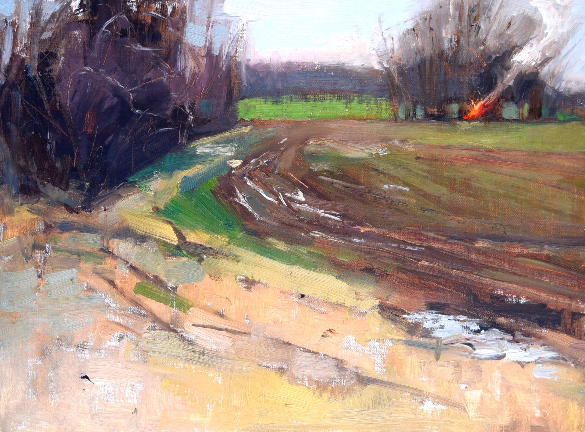 Winter Fields by Amy R. Peterson