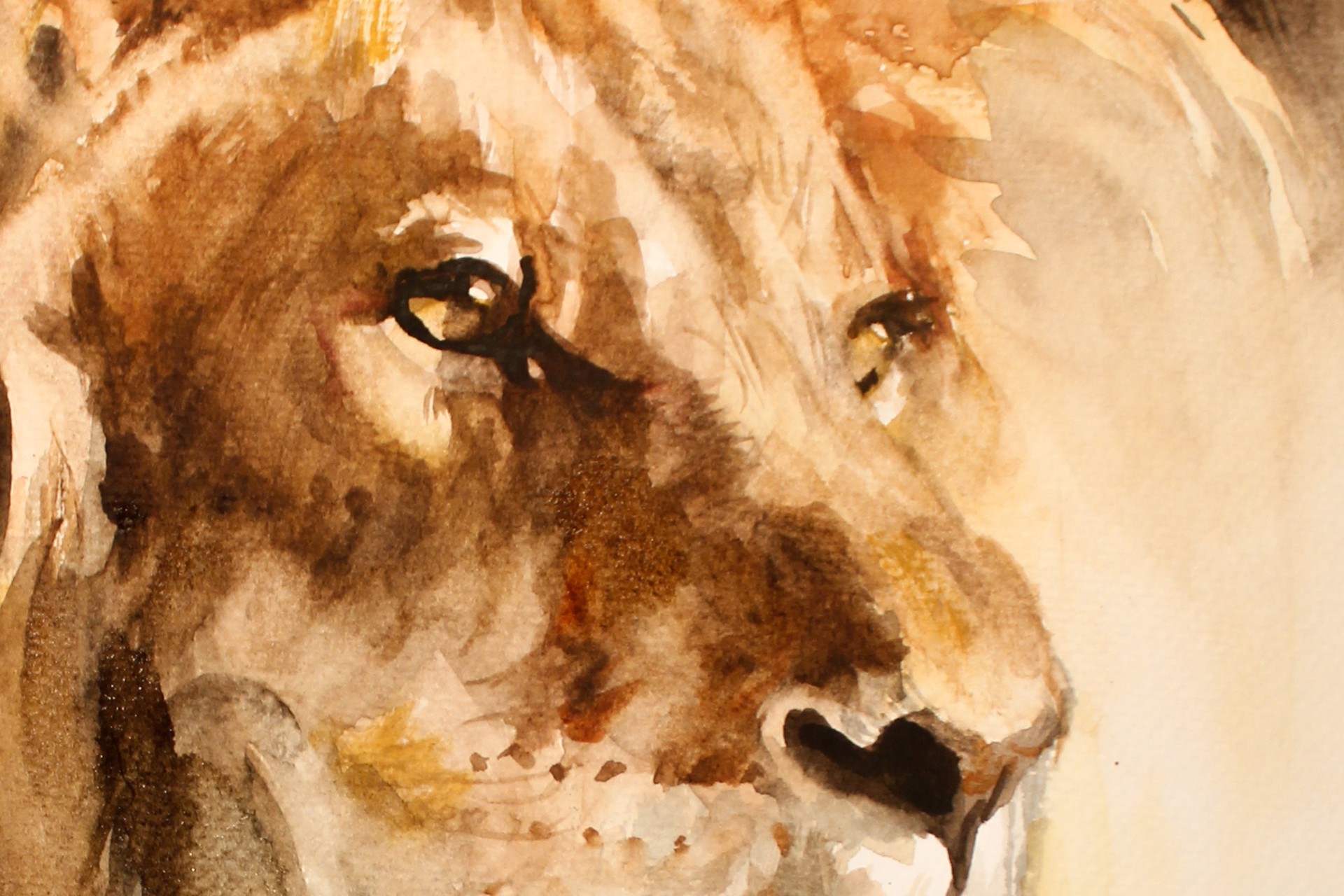 Lion by Michele Bajona