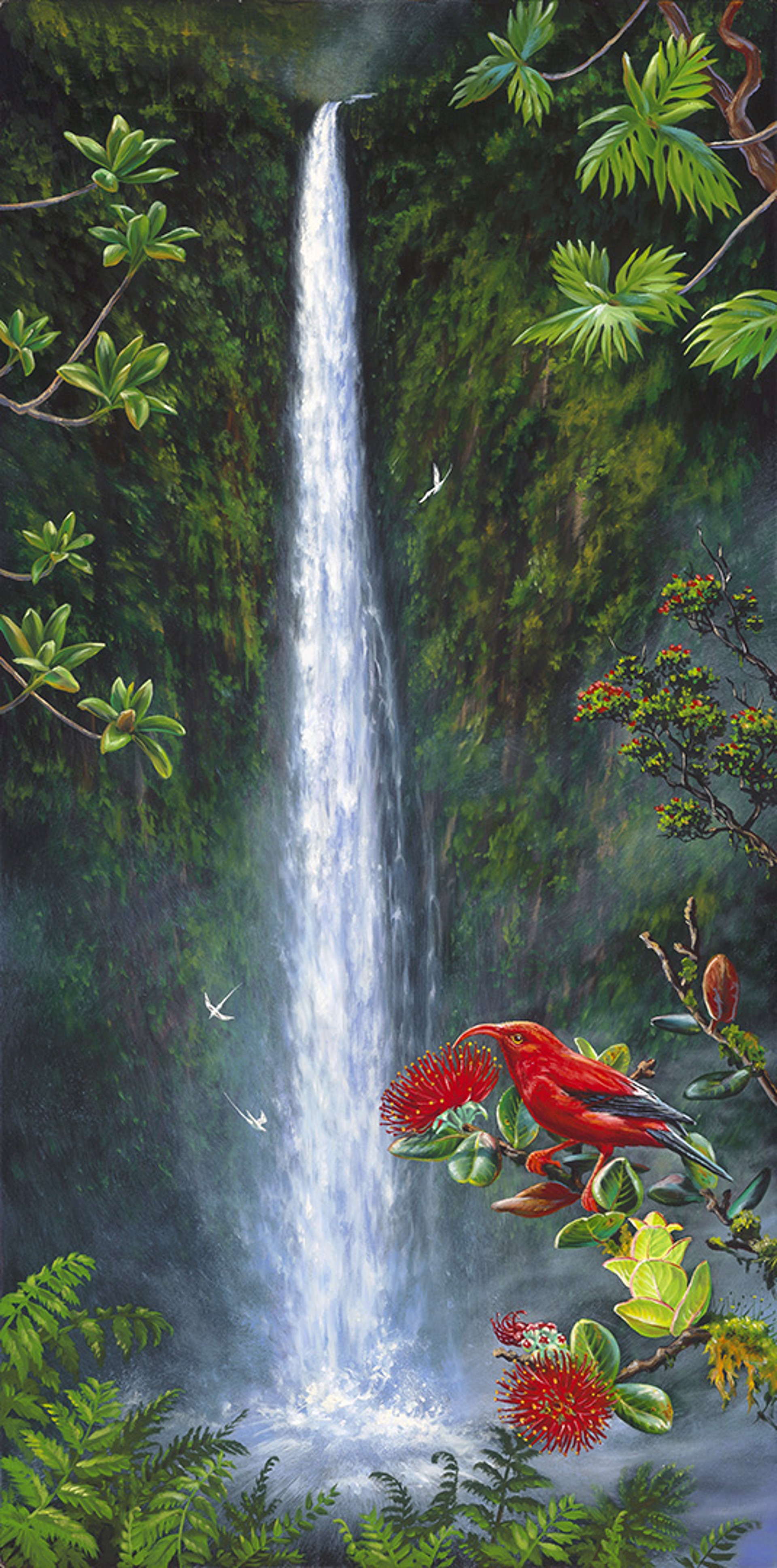 Akaka Falls ʻIʻiwi by Patrick Ching