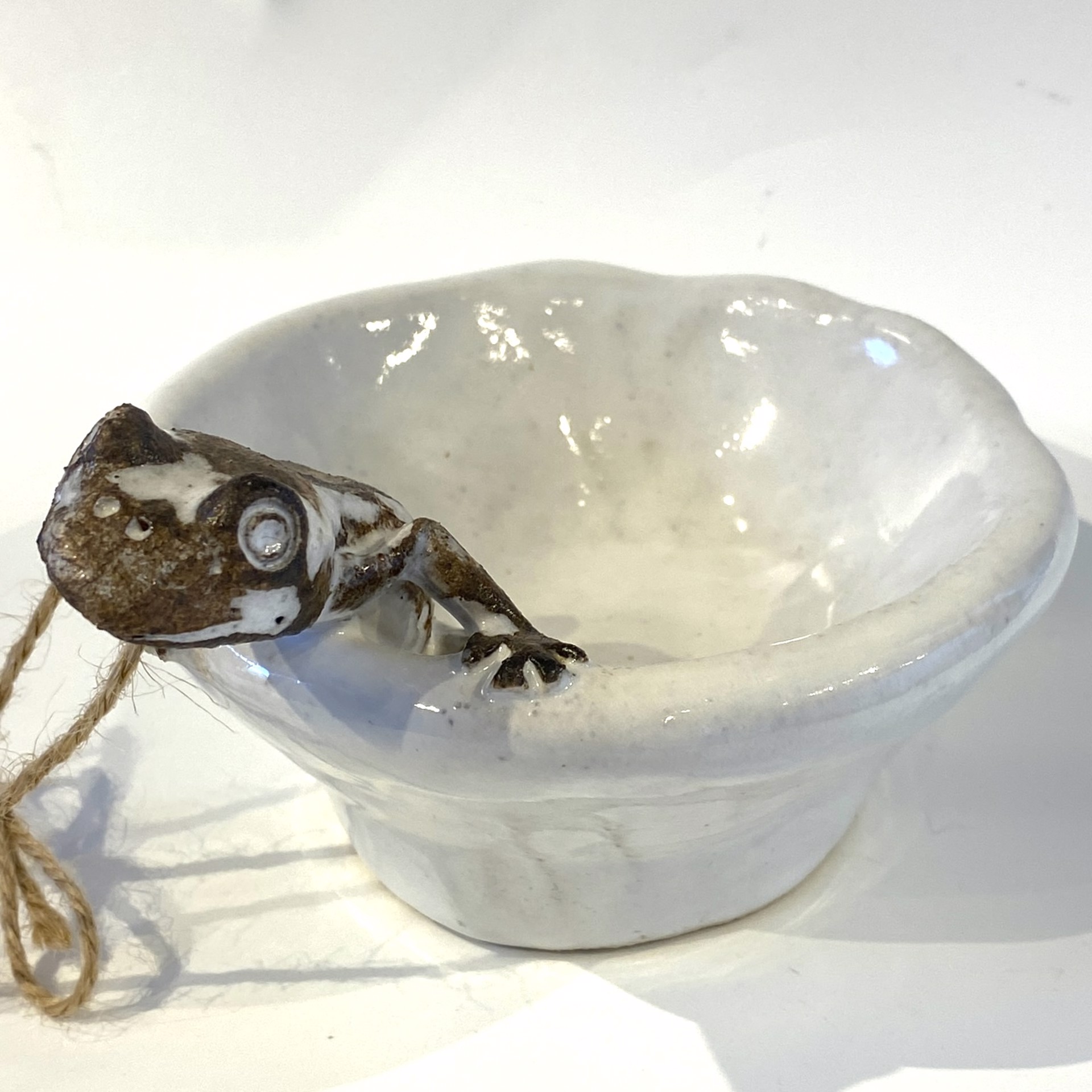 Mini Frog Bowl SG23-56 by Shayne Greco
