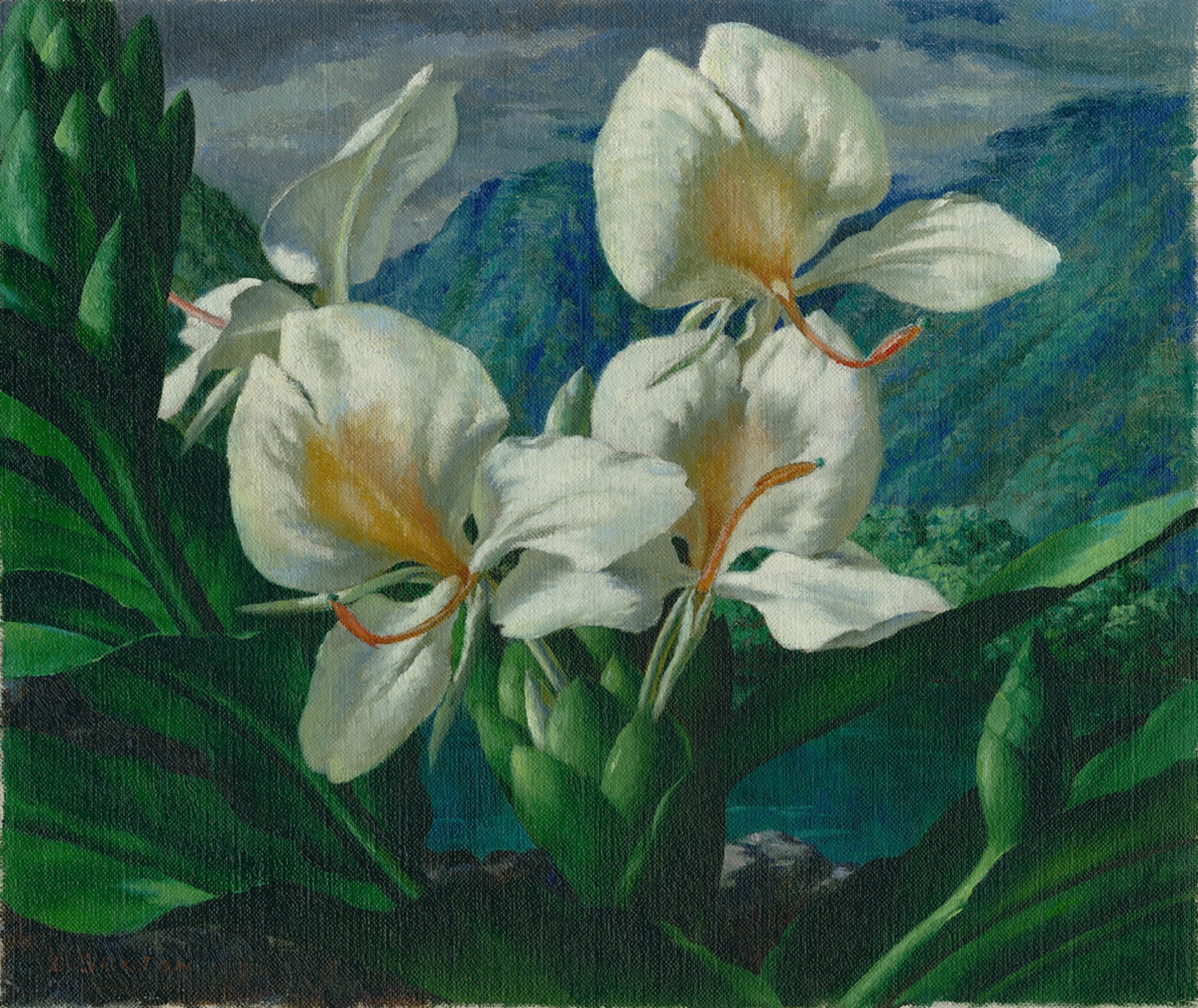 White Ginger in Waipi'o Valley by Leo Lloyd Sexton