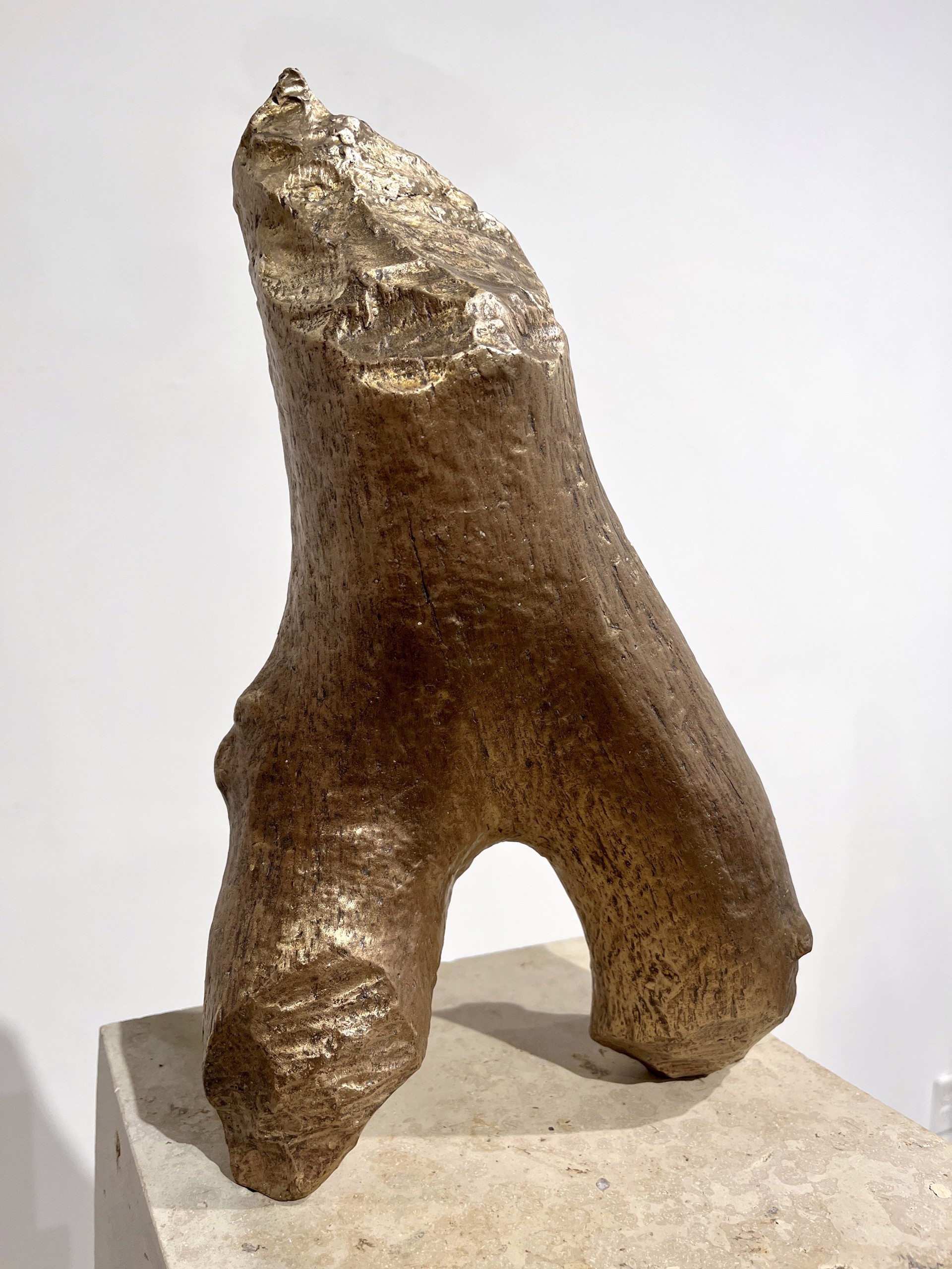 Bronze Torso by Tim O'Neill
