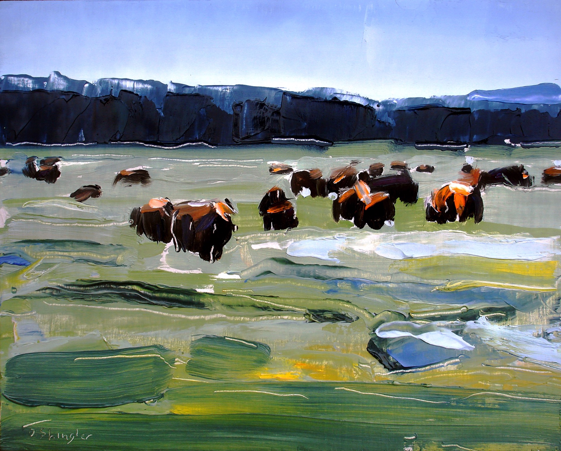 Bison Herd by David Shingler
