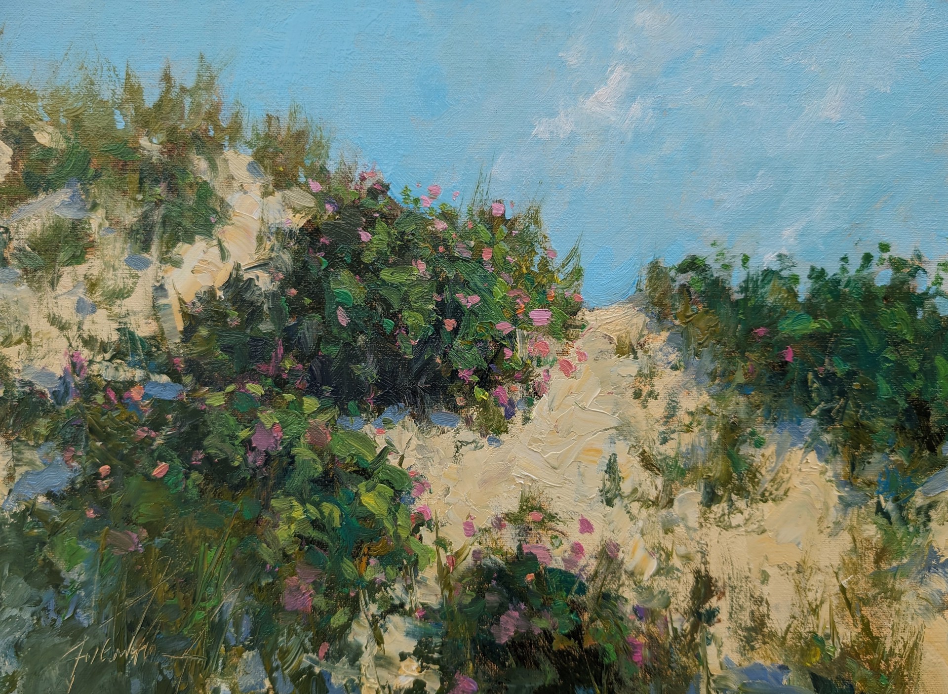 Dunes in June by Jonathan McPhillips