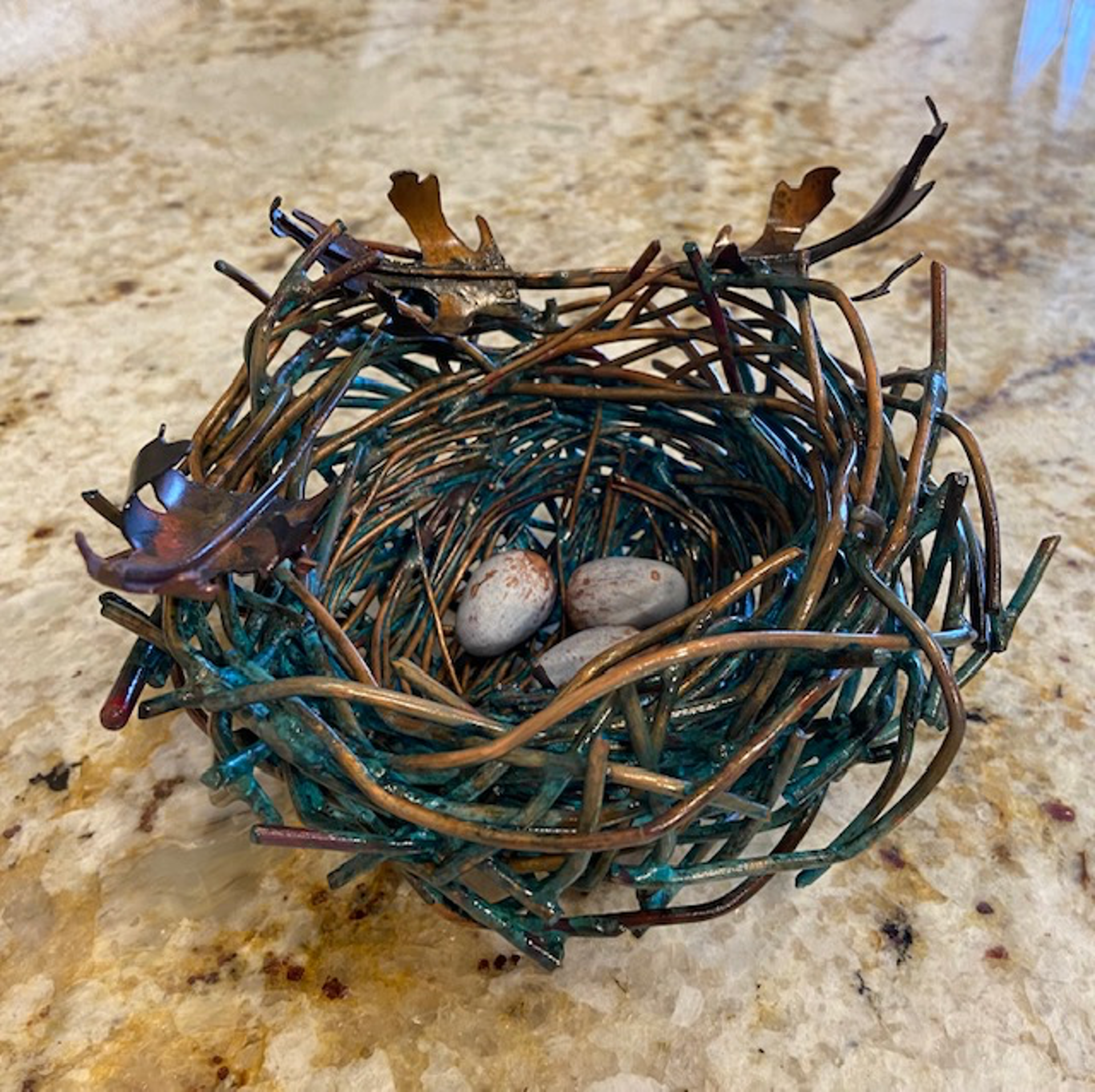 Mockingbird Nest by Stevie Jo Lake