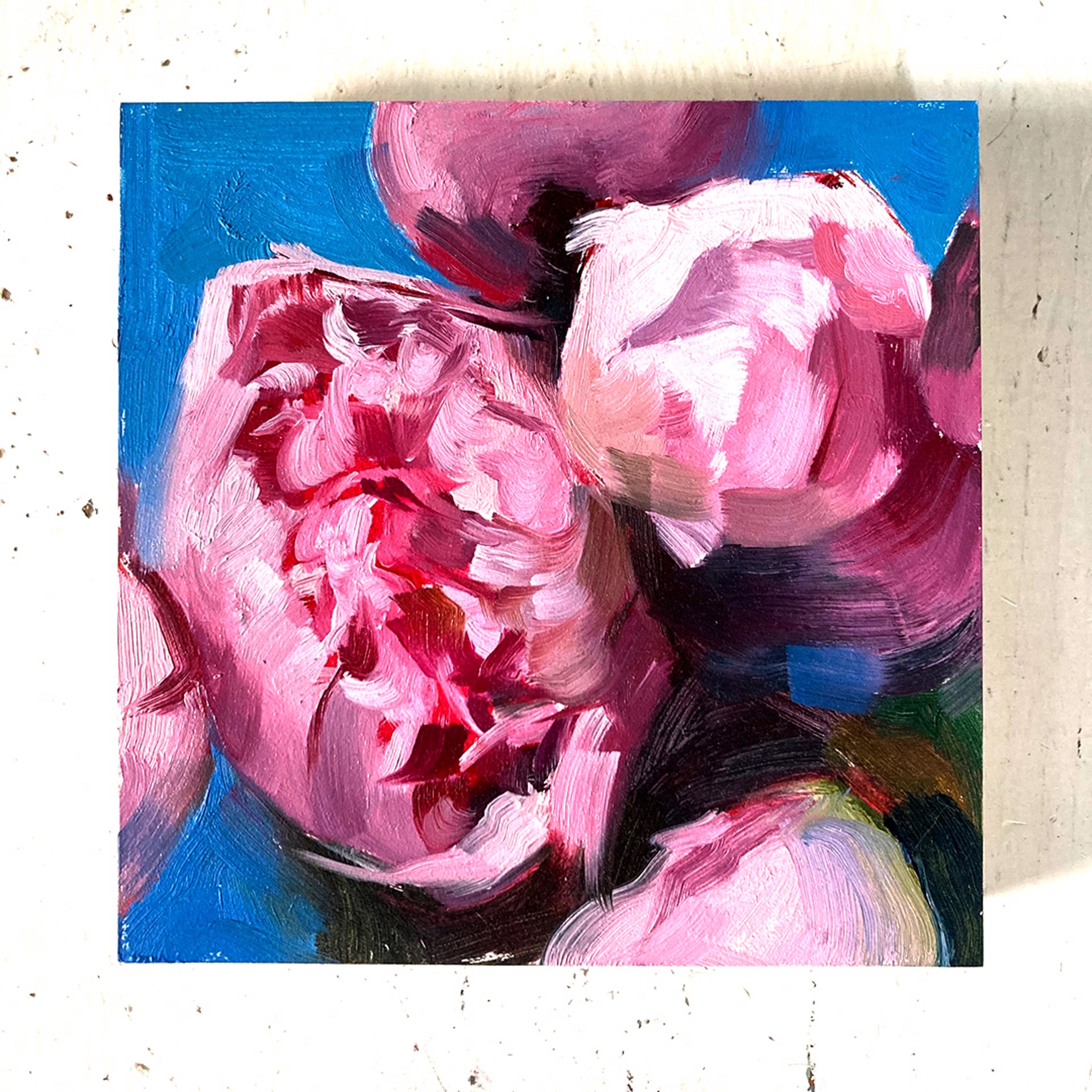 Peony Project #16 by Amy R. Peterson*