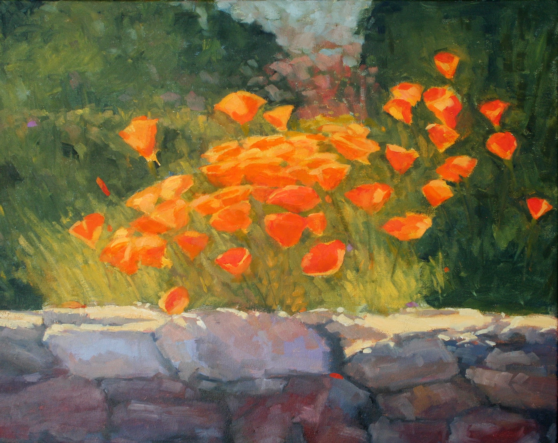 Old Wall, Young Poppies by Stan Robbins