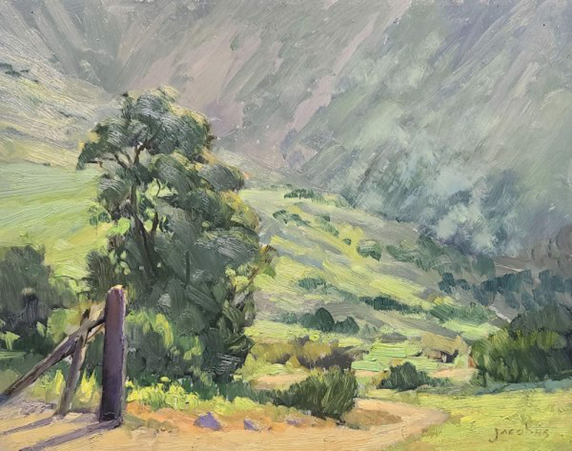 Early Spring, Catalina by Jacobus Baas