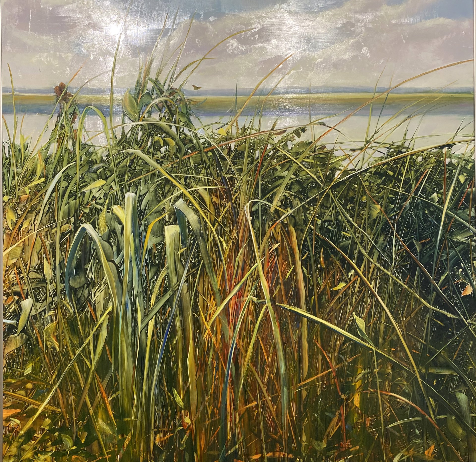 Summer Shoreline by David Allen Dunlop