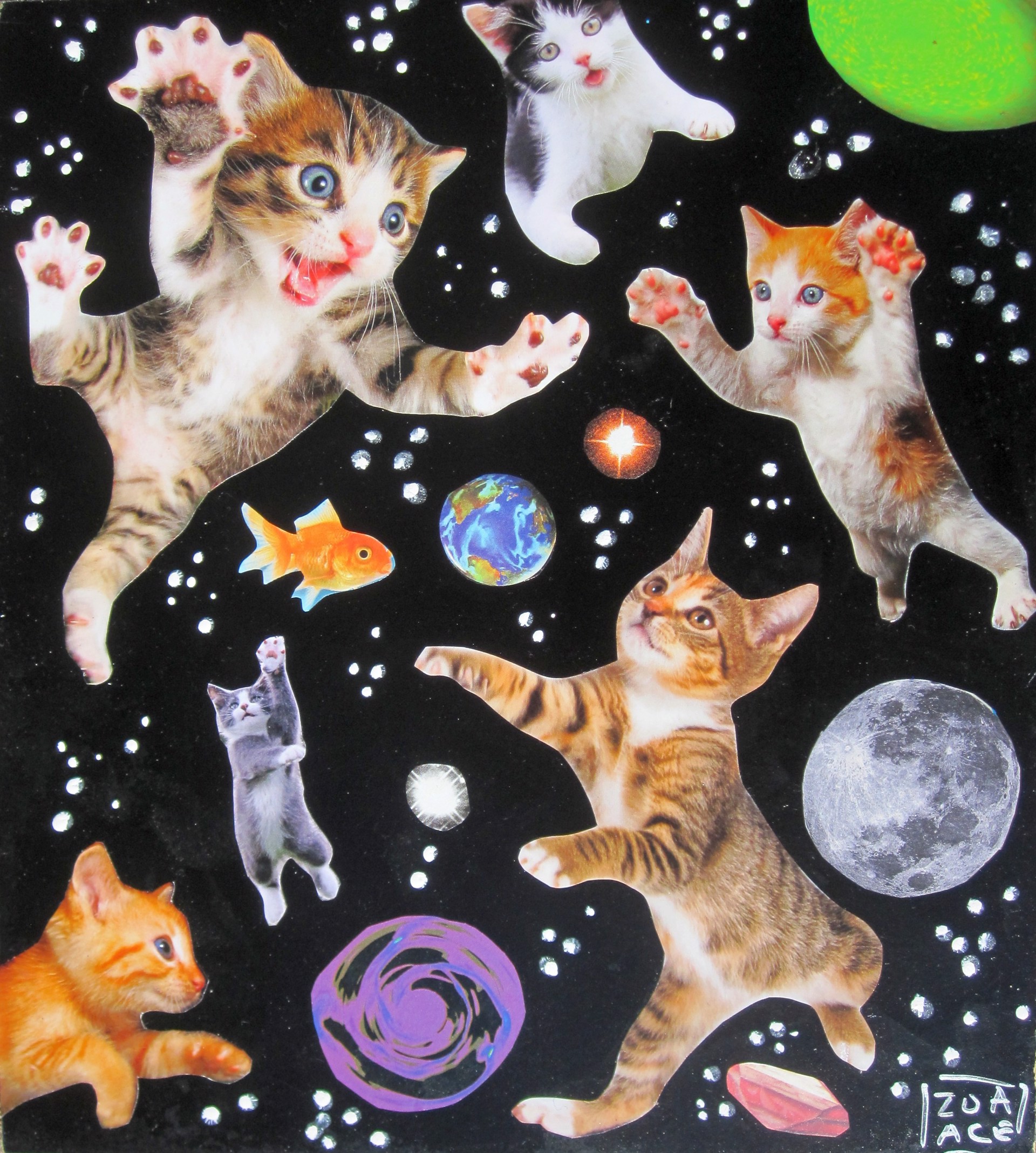 Space Cats by Zoa Ace
