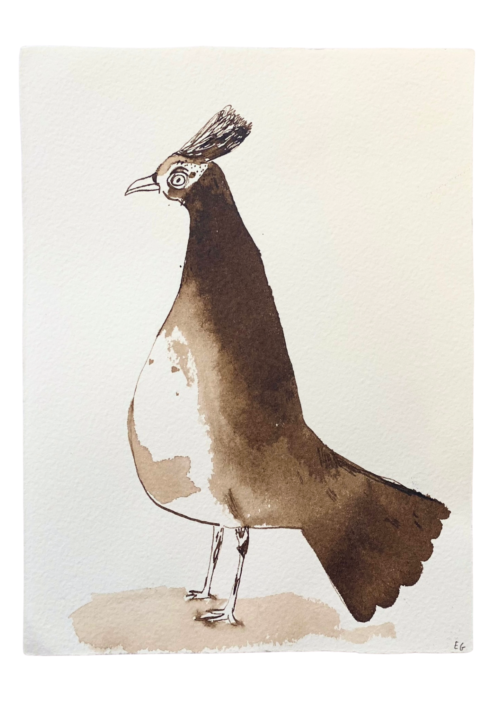Brown Inkwash Bird #1 by ELIZABETH GRAEBER