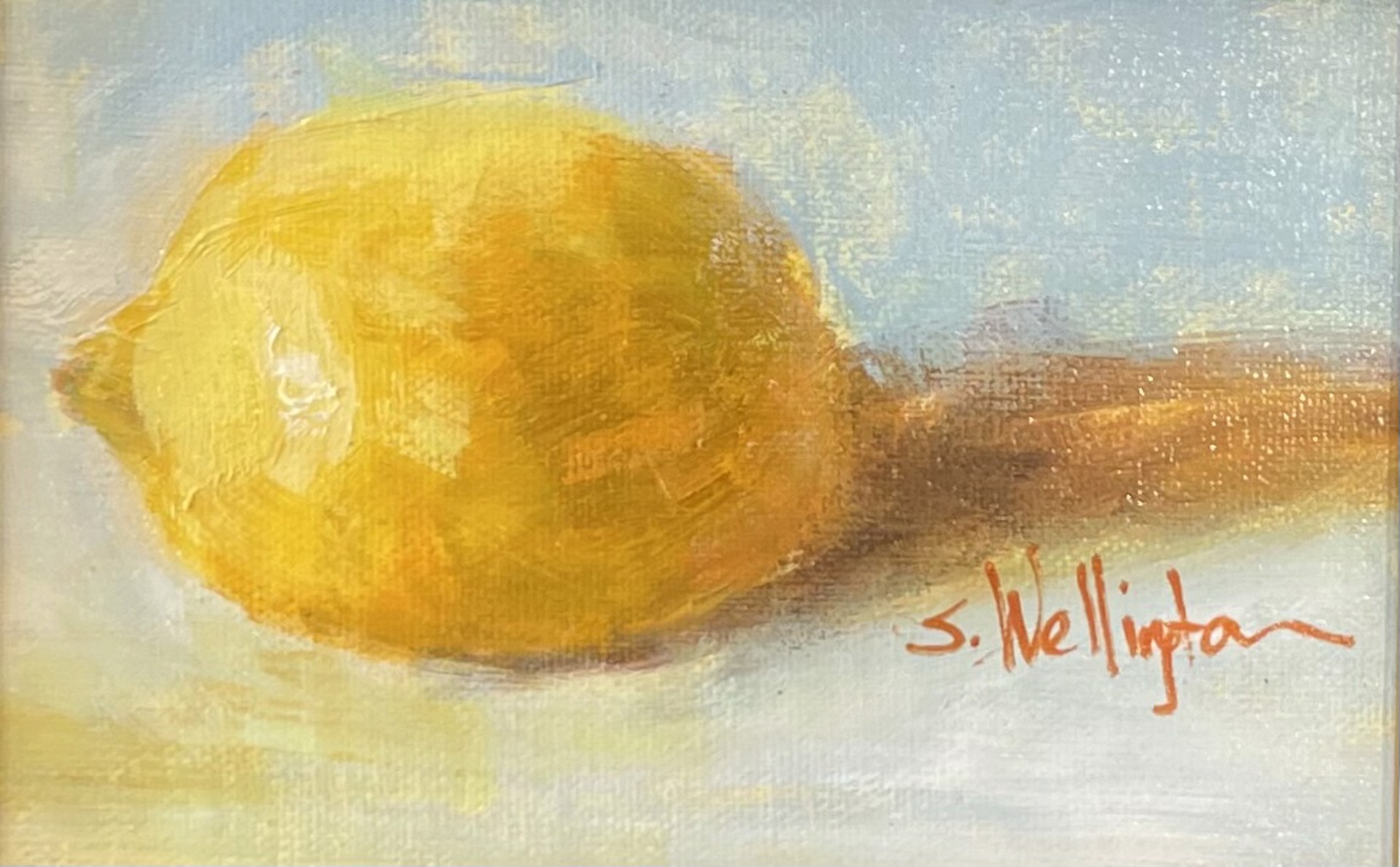 Gotta Love Lemon by Susan Wellington
