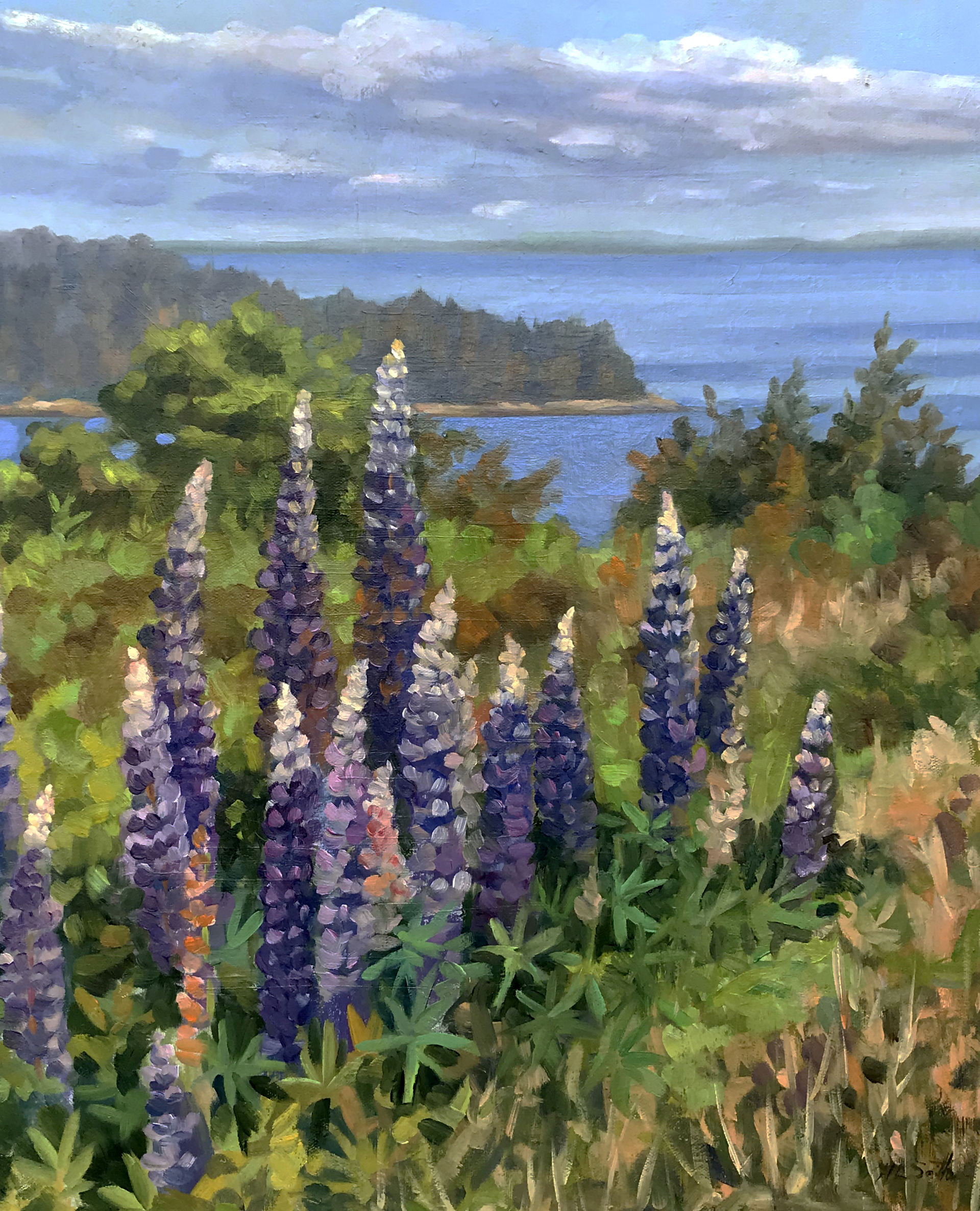 Lupine on Eagle Island by Holly L. Smith