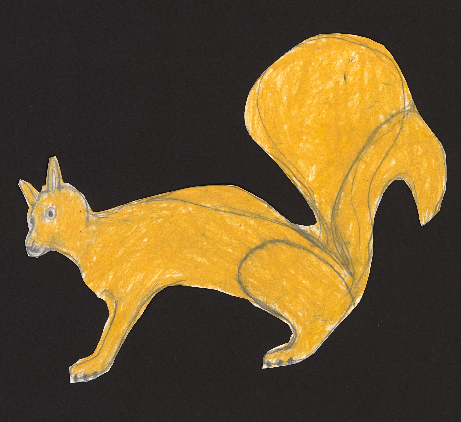 Squirrel by Michael Haynes