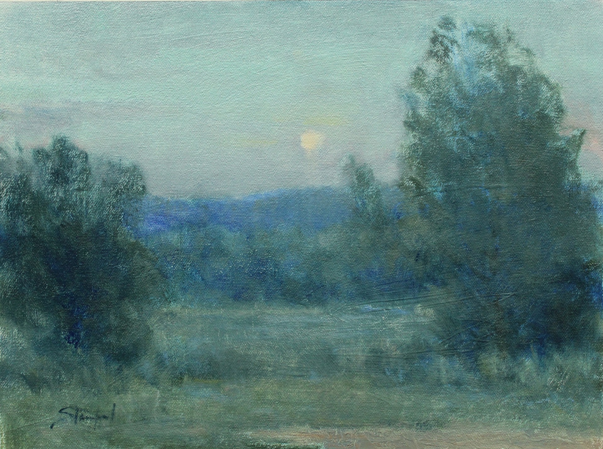 Evening Field by John Stanford
