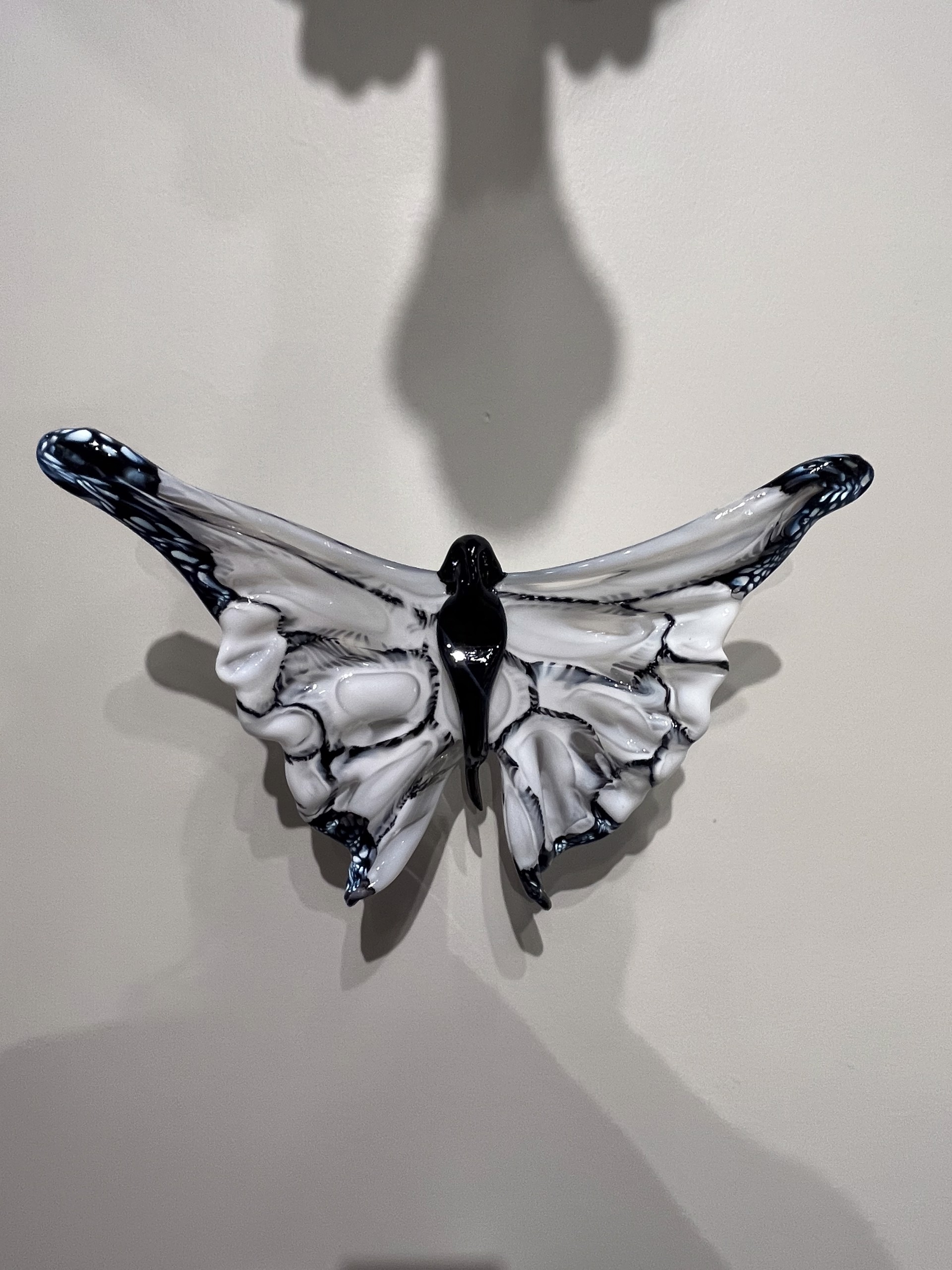Monarch Butterfly - White by Nic McGuire