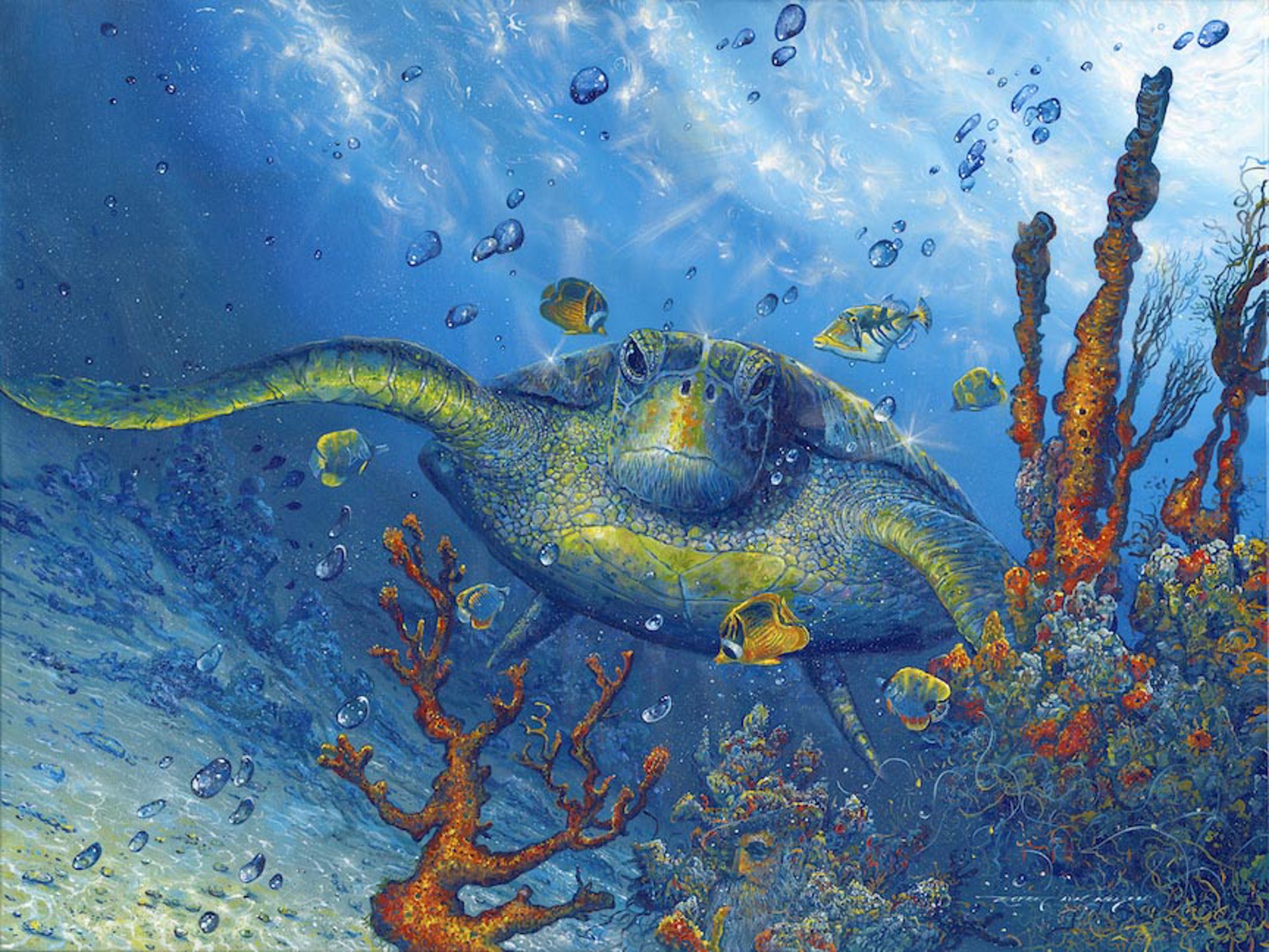 Undersea Impressionist by Robert Lyn Nelson