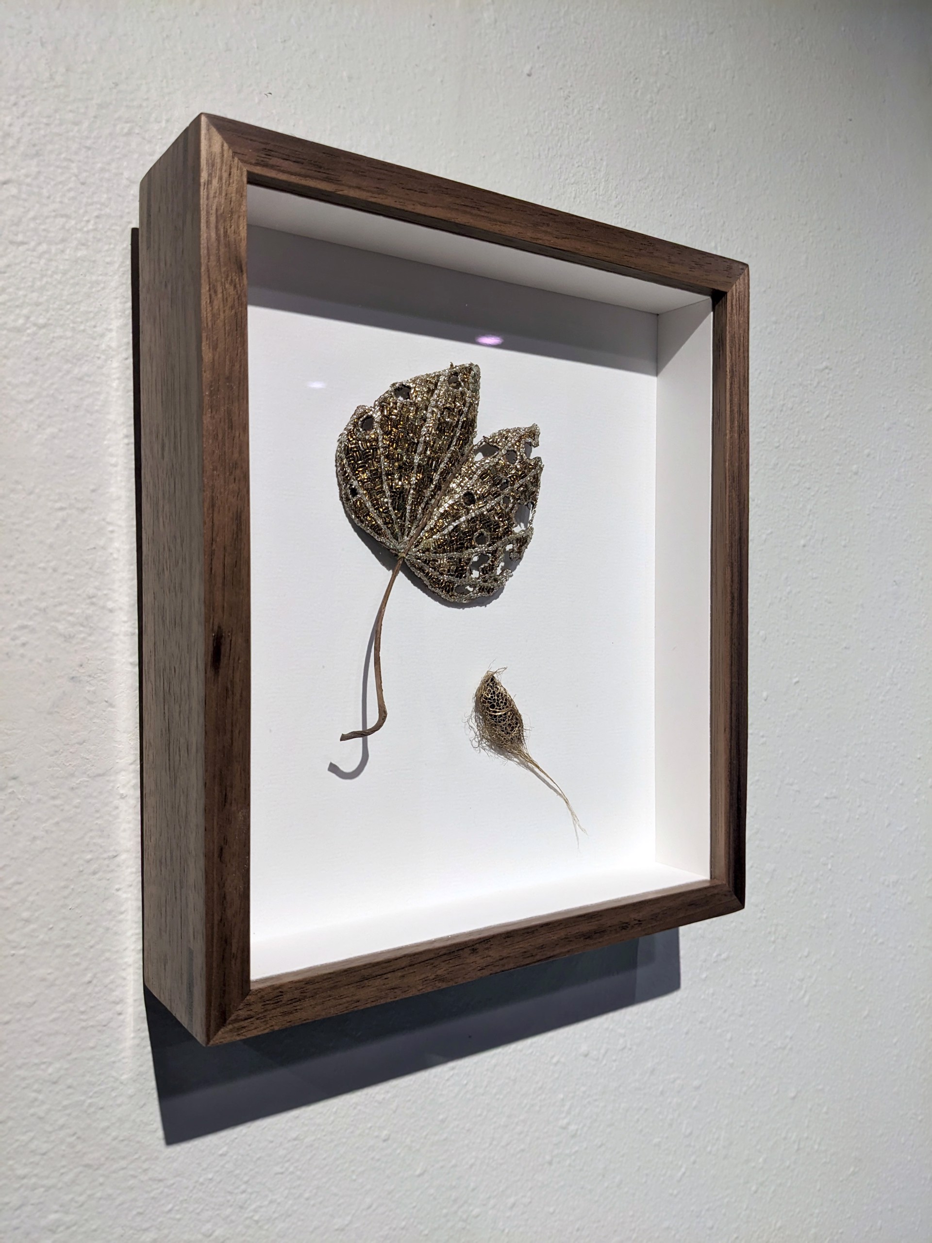 The Impermanence of Life: Bauhinia Leaf II by Tiao Nithakhong Somsanith