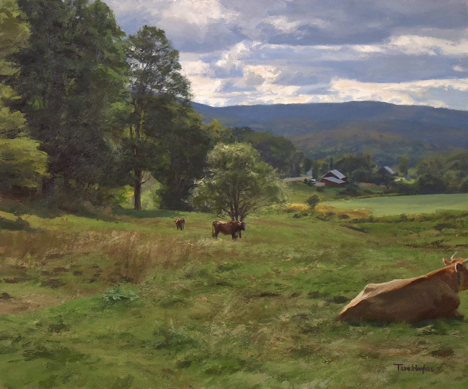 Vermont Pasture by Tom Hughes