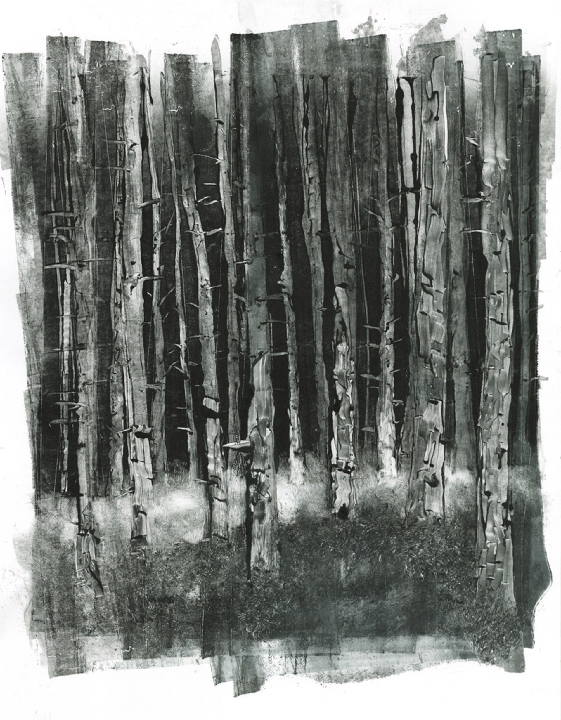 Ghost Forest by Colleen Blackard