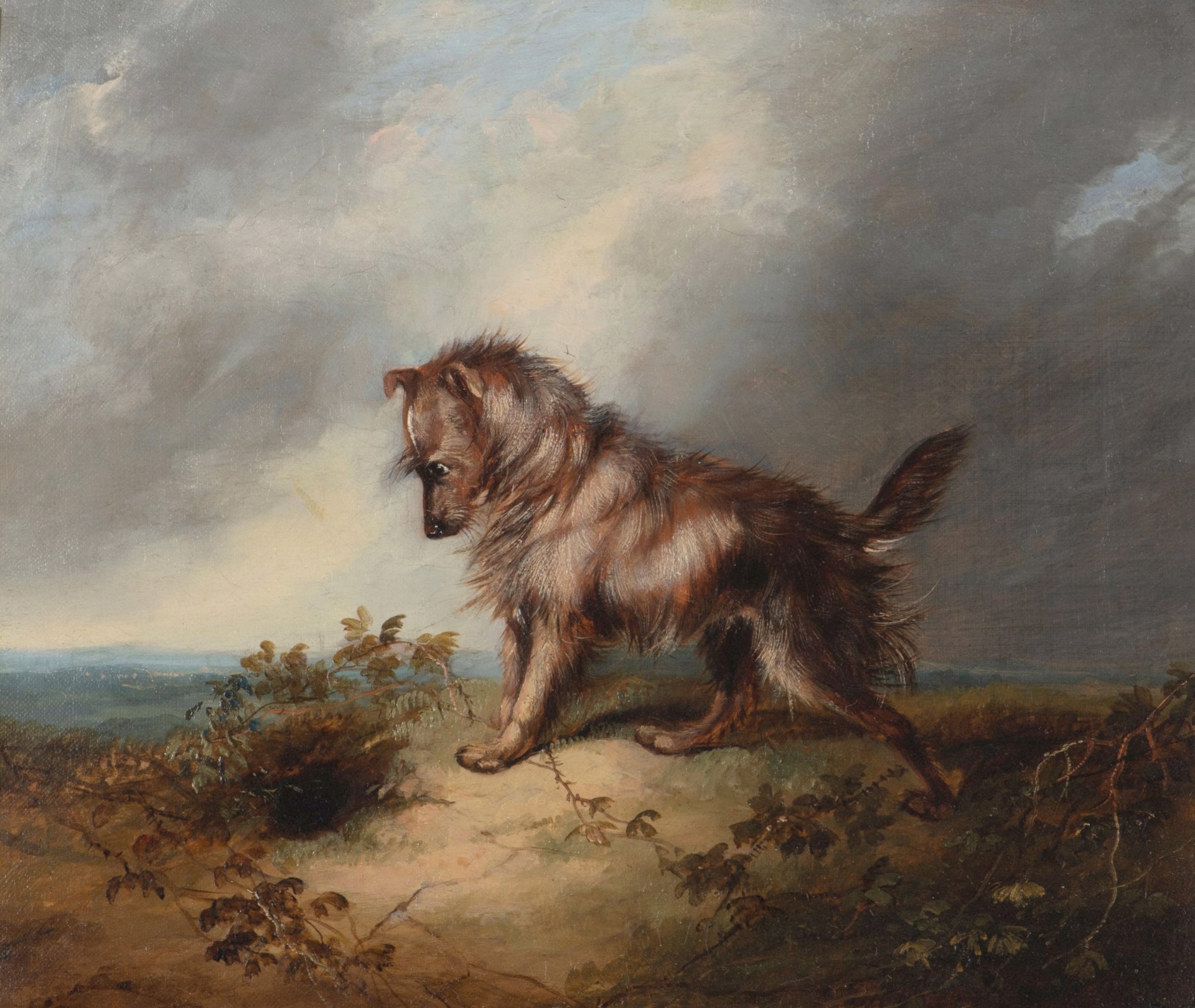 Terrier at Earth by George Armfield
