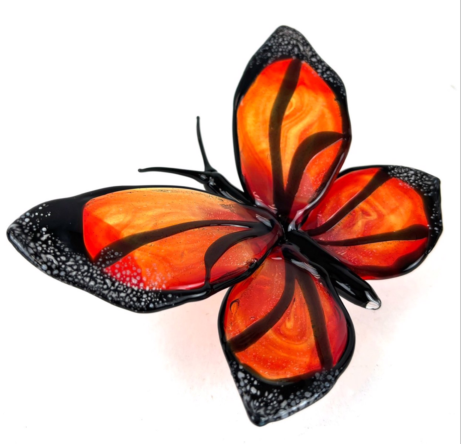 Monarch Butterfly by Loy Allen