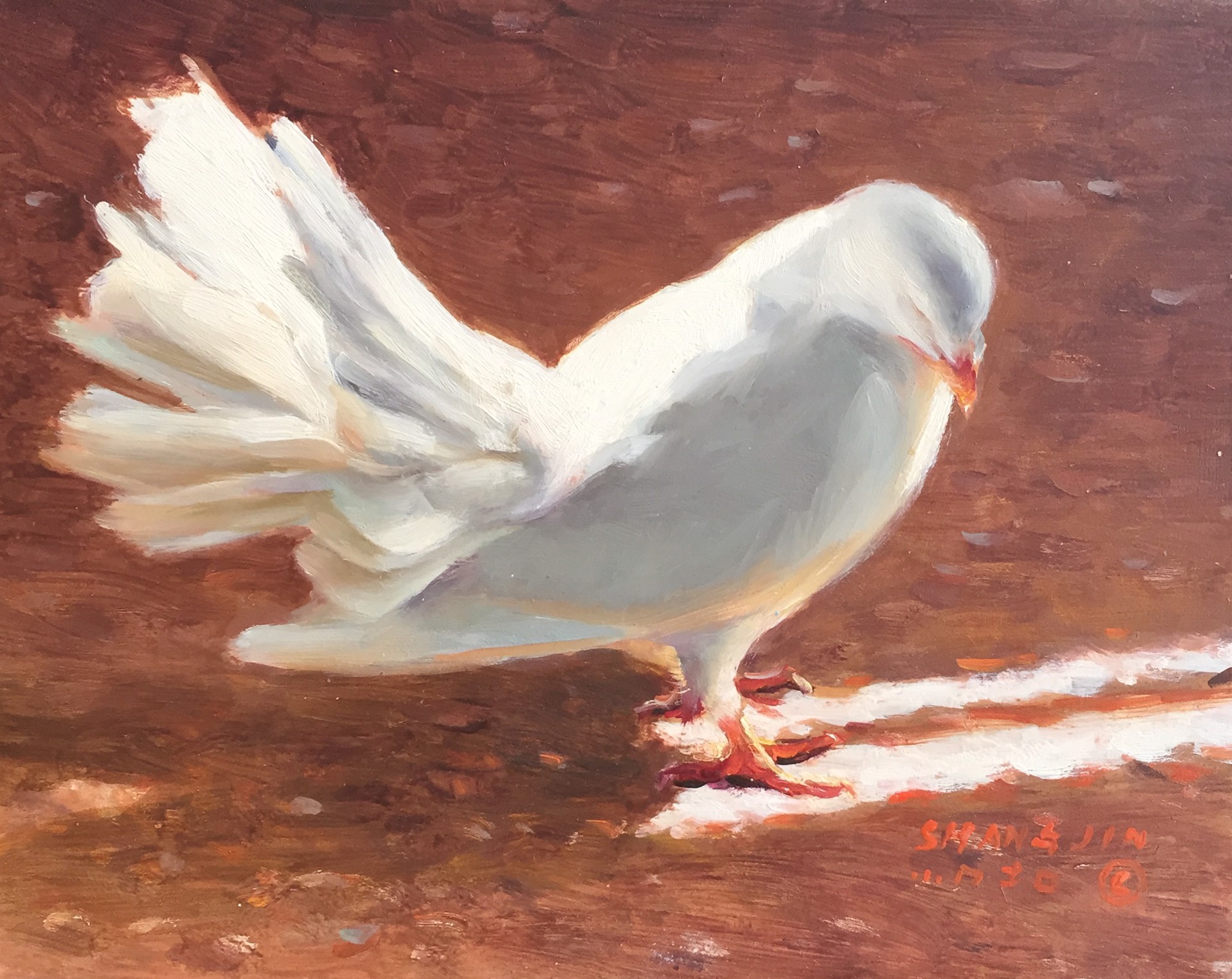 White Dove 32 by Shang Jin