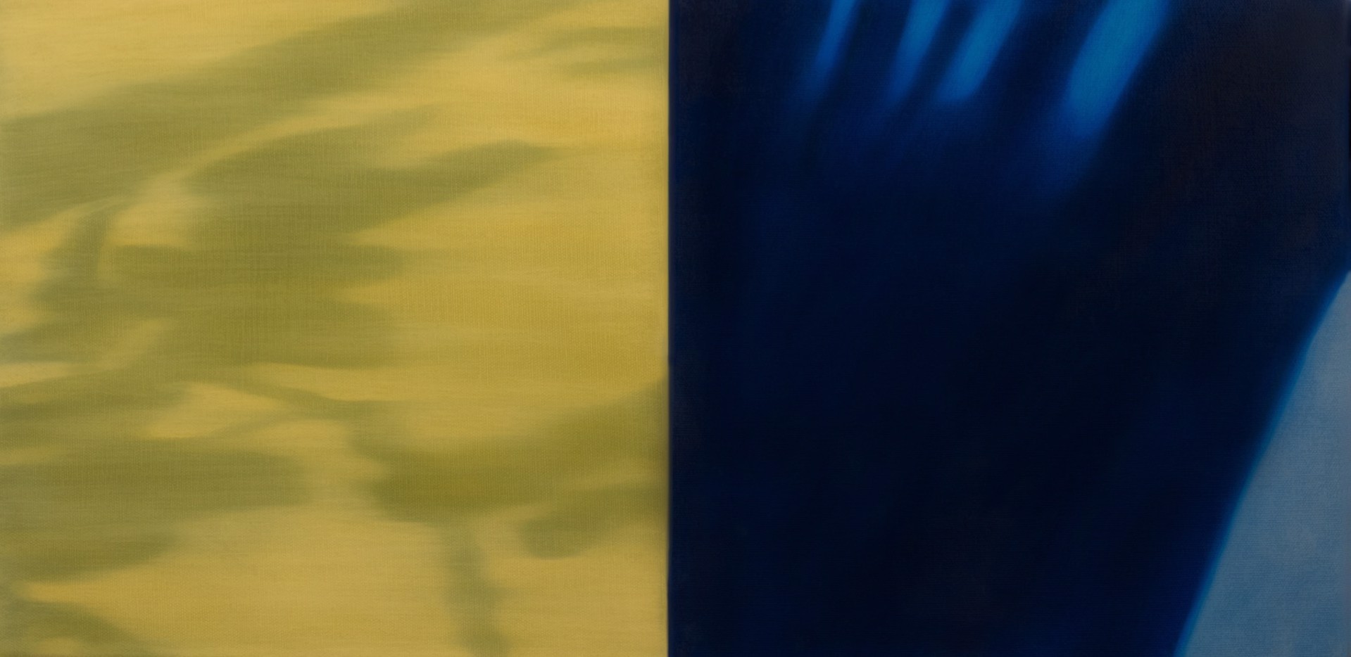 Shadows and Reflections V  (diptych) by Anne Subercaseaux