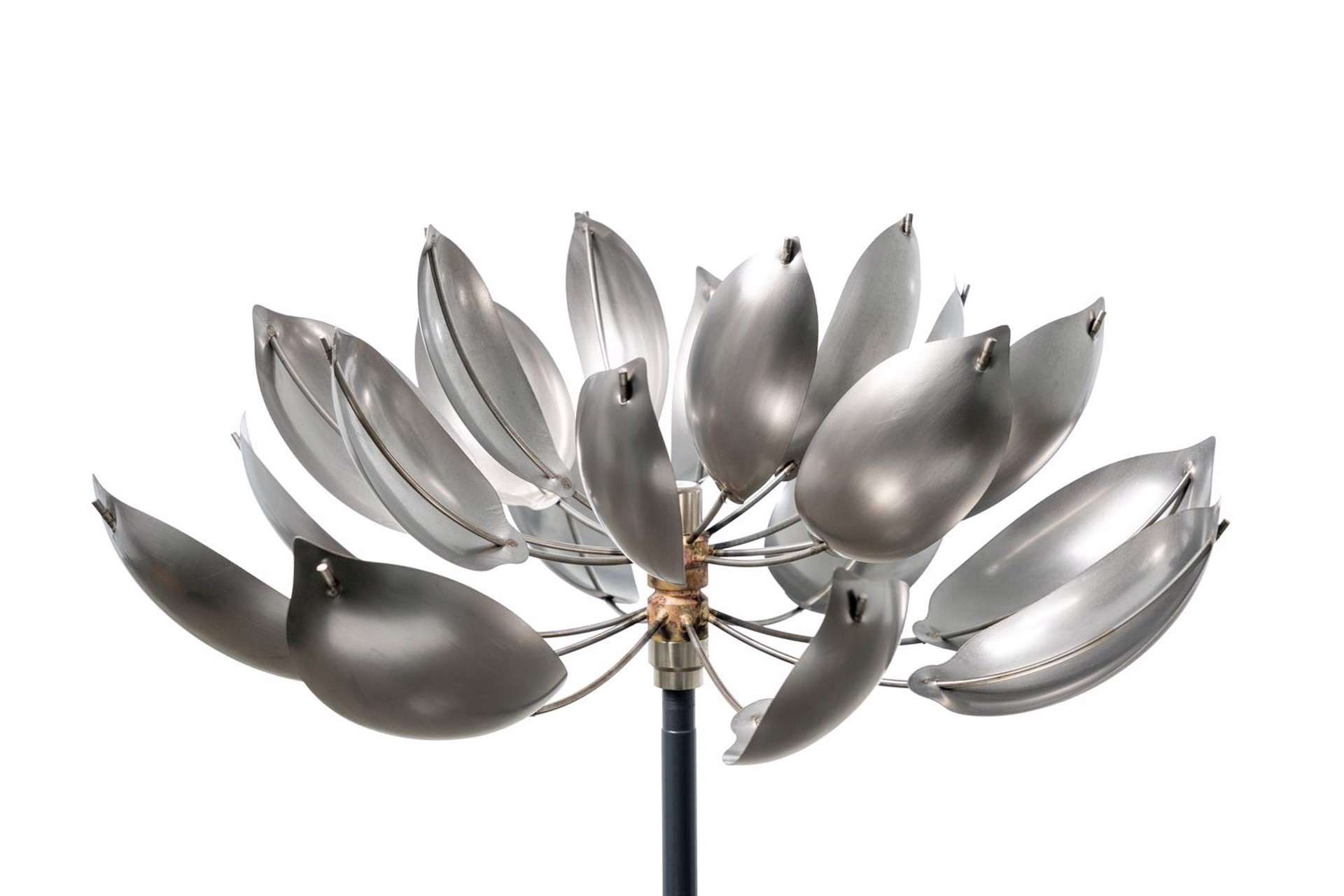 Stainless Steel Lotus (L) by Lyman Whitaker