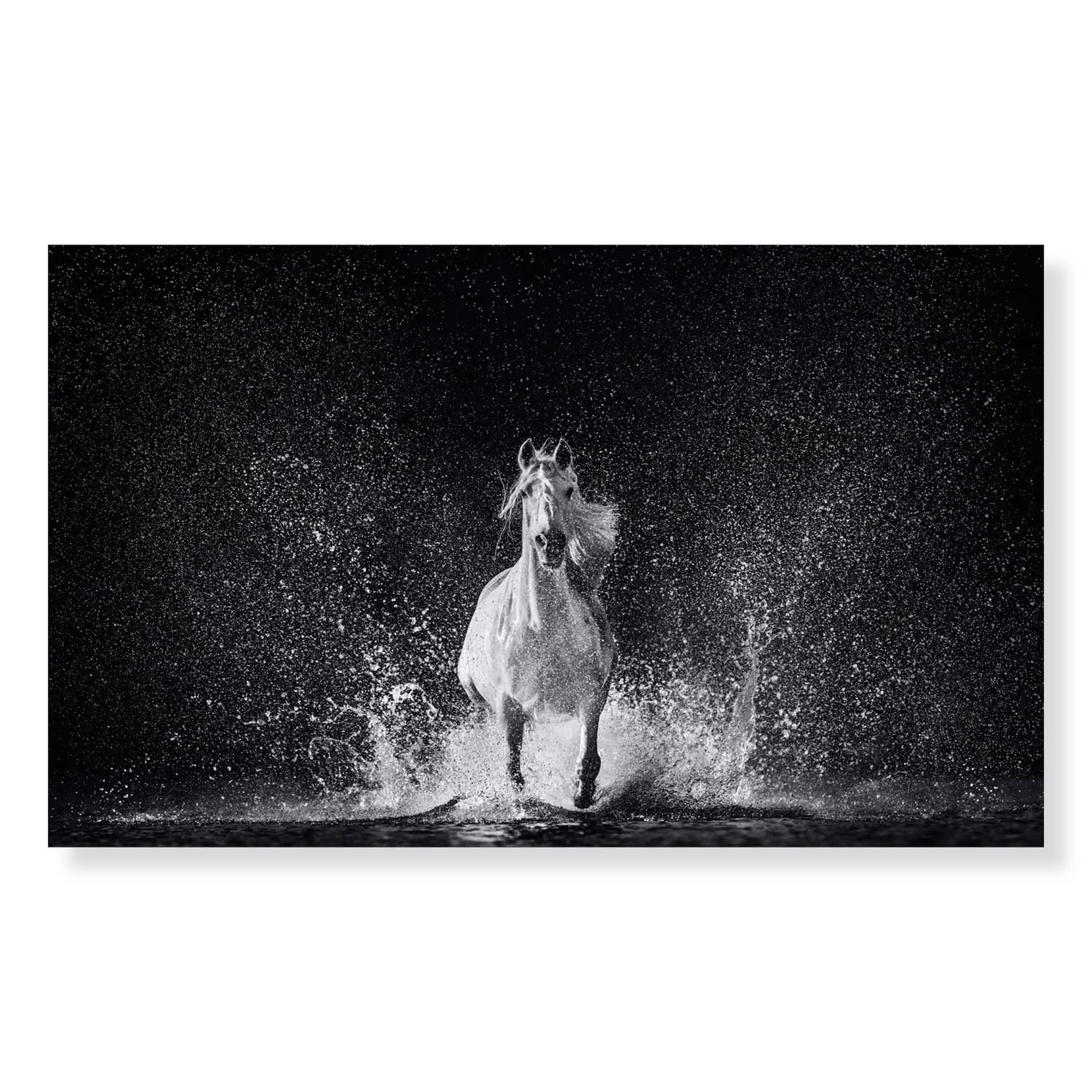 The Shape of Water by David Yarrow