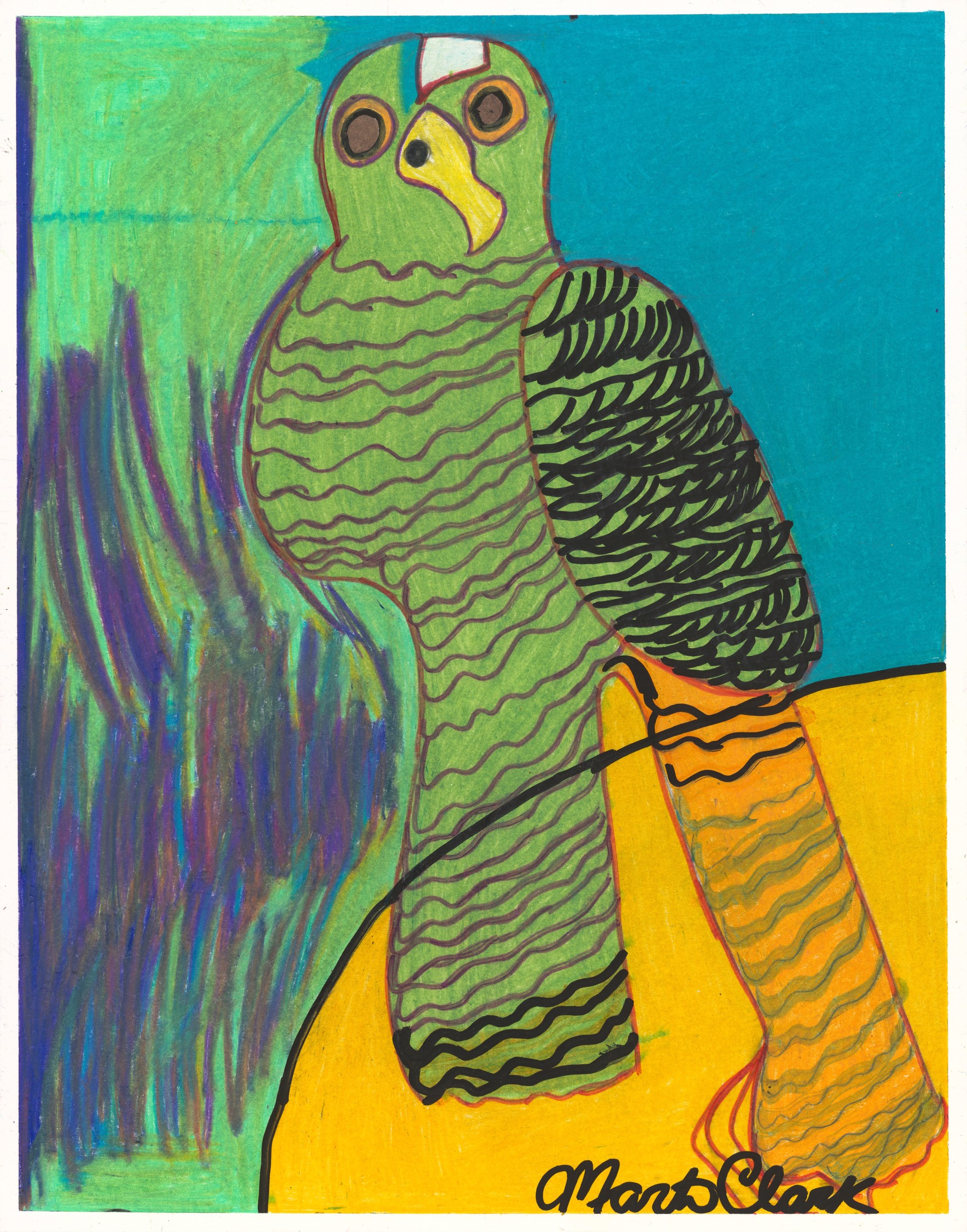 Mexican-Indian Parrot (FRAMED) by Marti Clark
