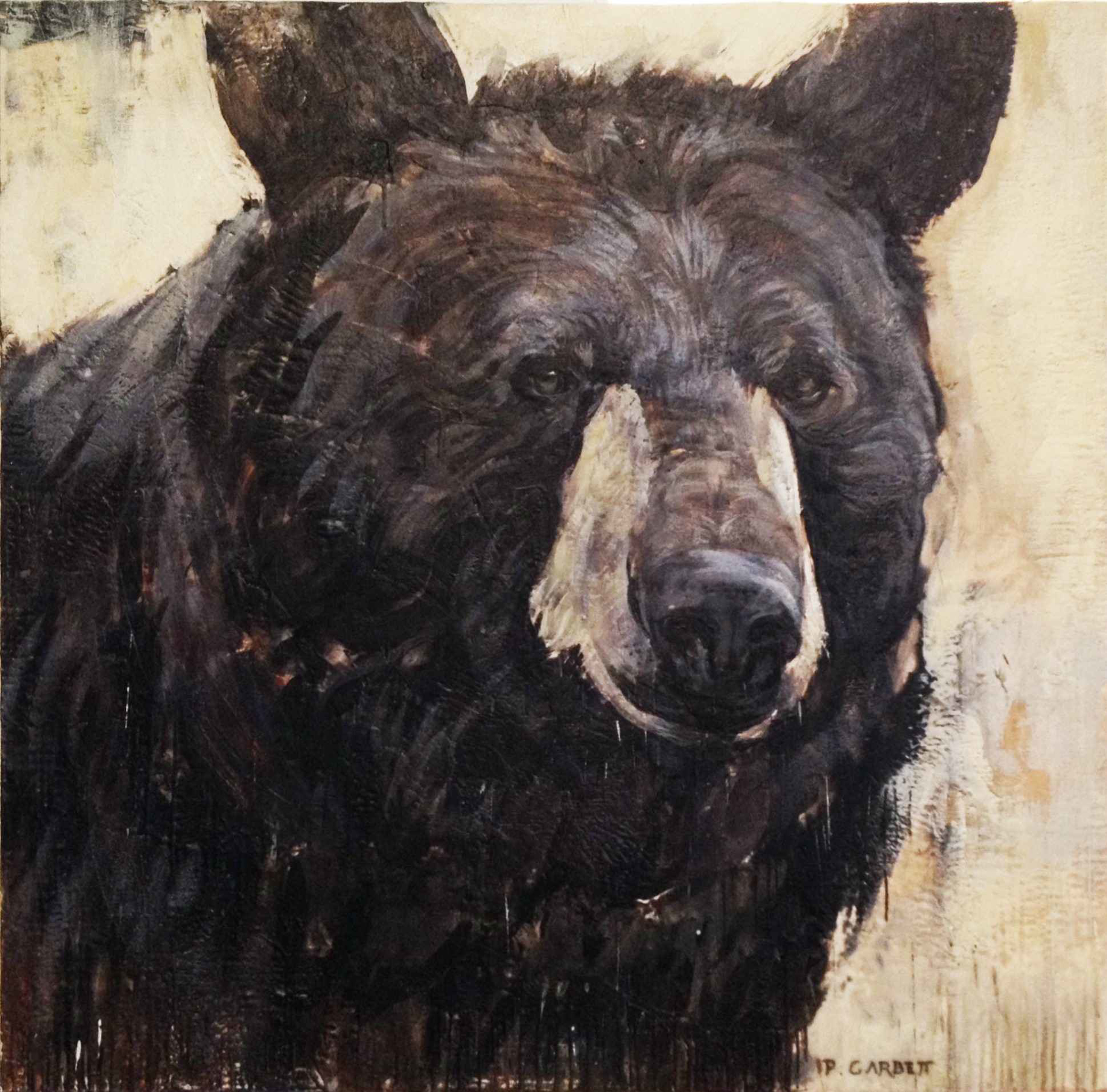 Bear Head #60-12 by Paul Garbett