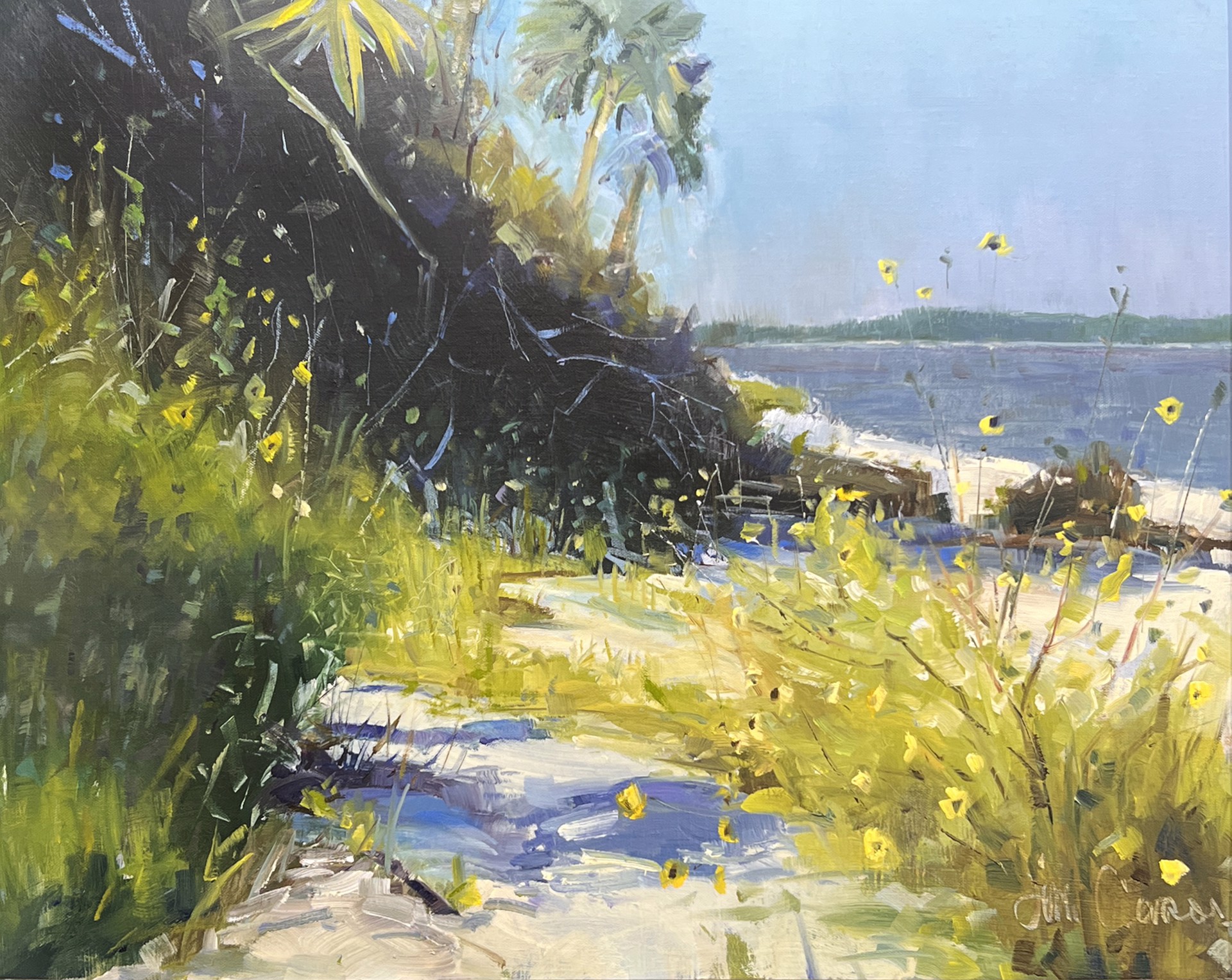 A Beach to Remember by Jim Carson, AIS, OPA