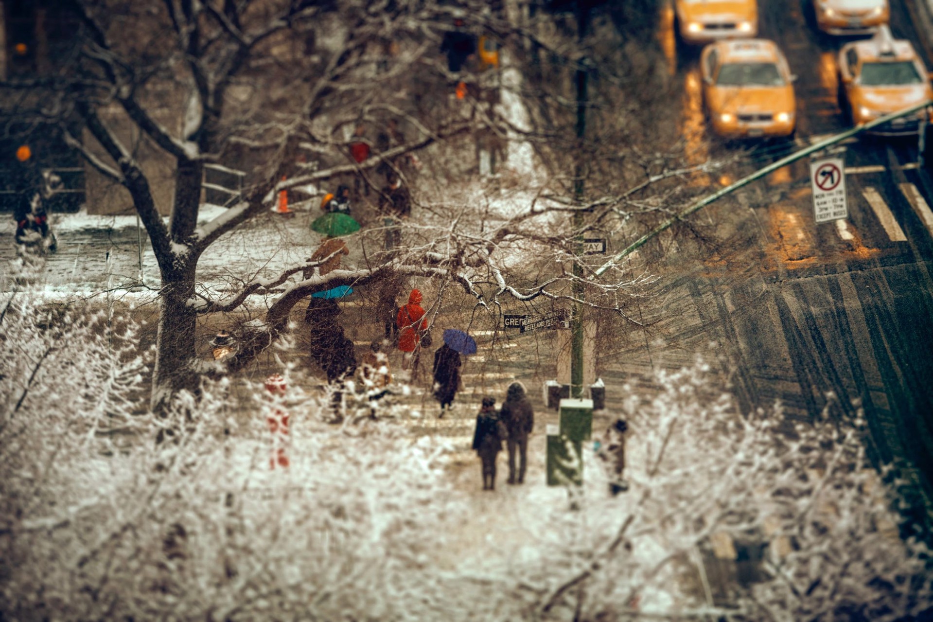 The Last Snow of New York by Alina Gozin'a