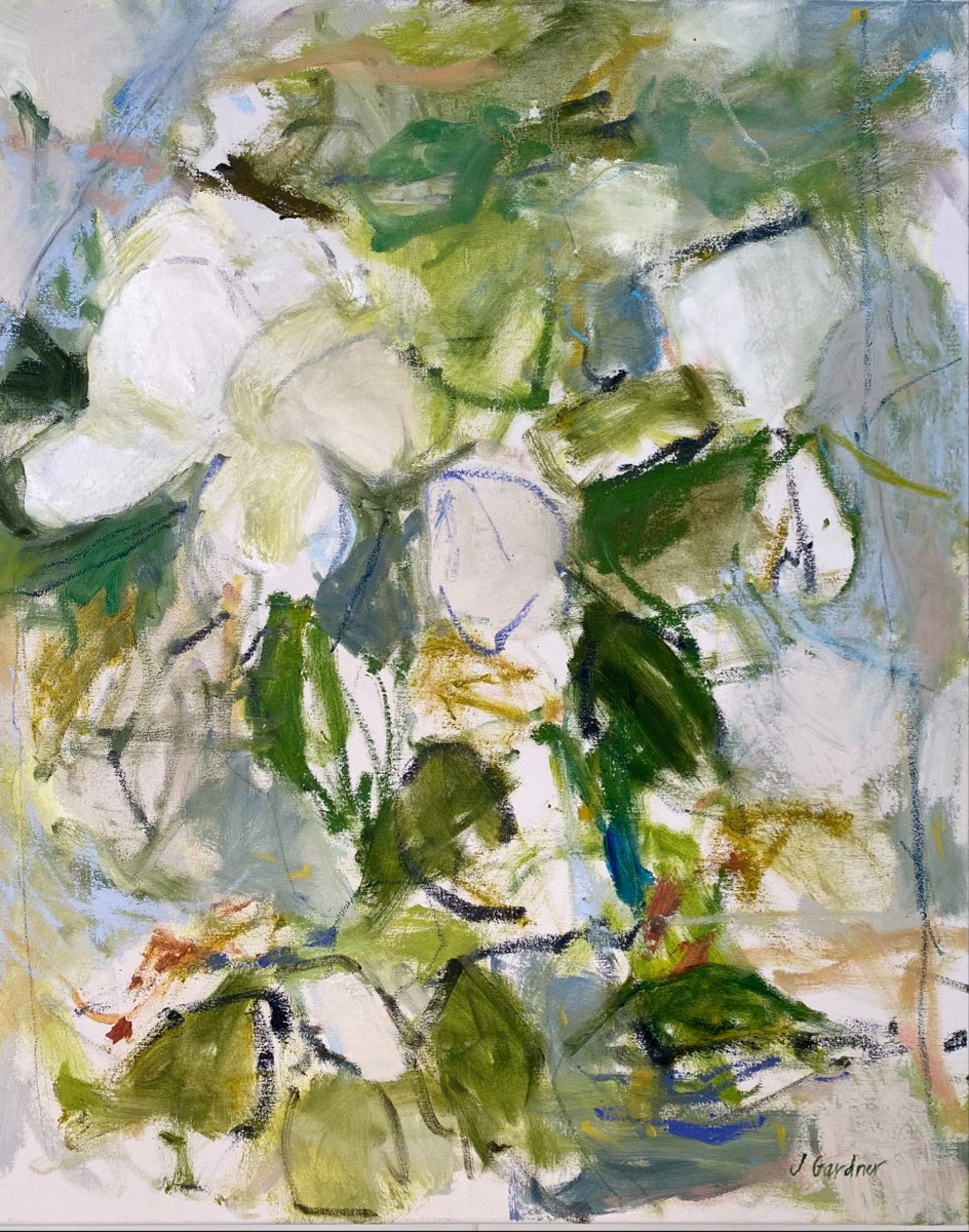 Southern Magnolia 1 by Joy Gardner