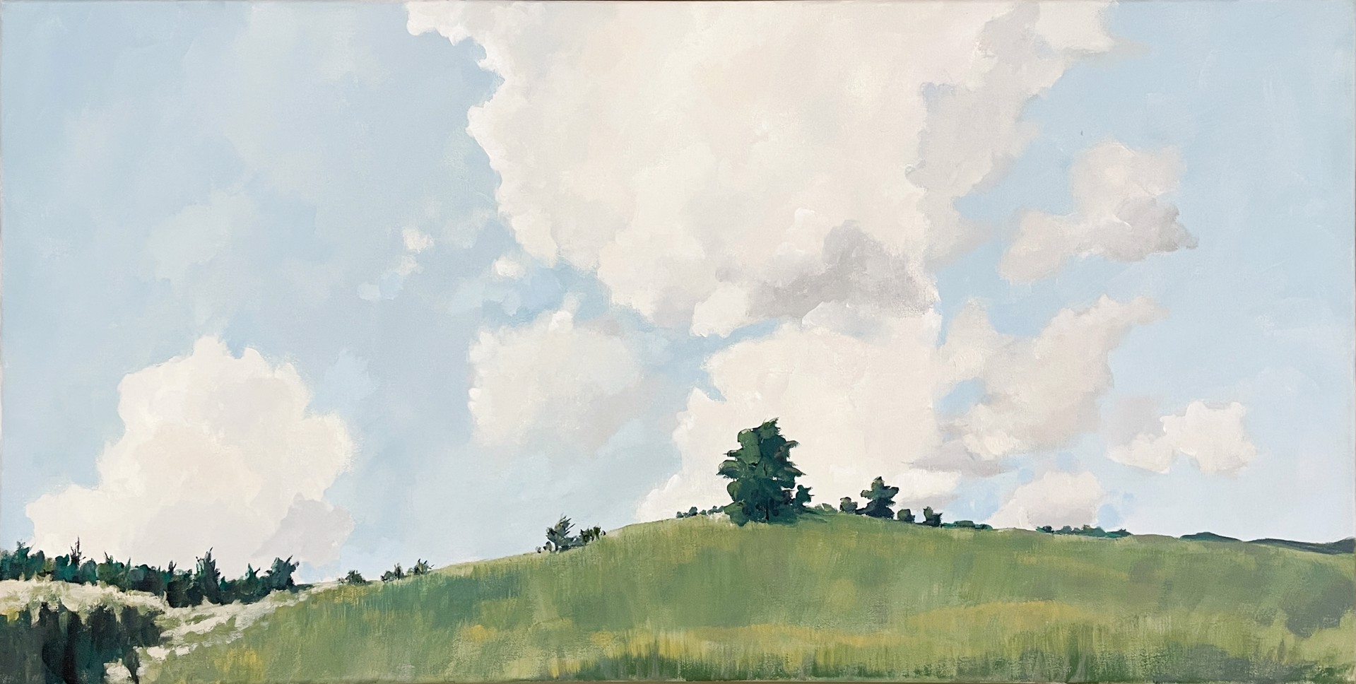Upper Meadow in June by Joseph Rapp