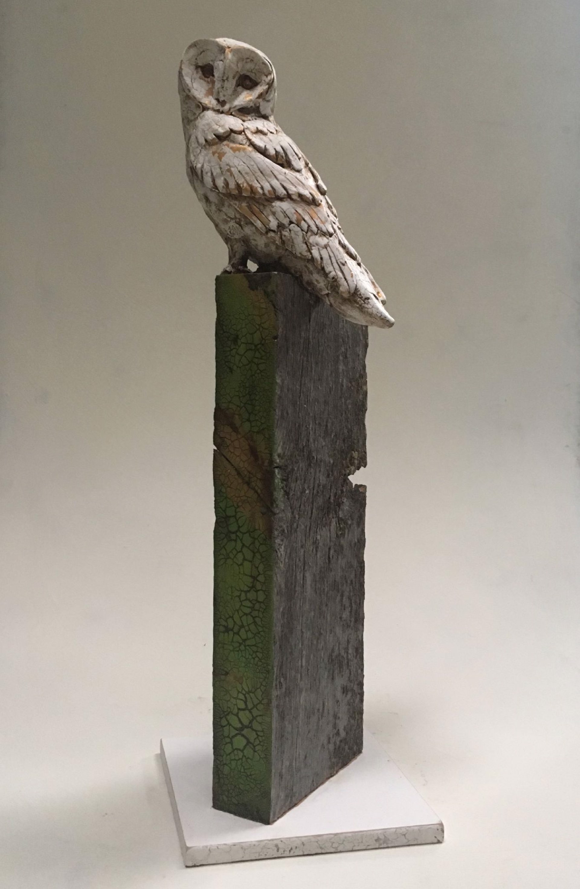 Barn Owl by Chris Reilly