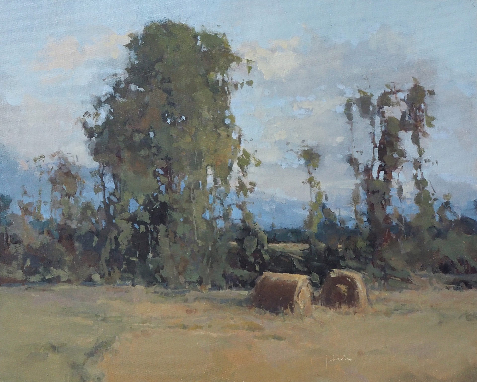 Hay Bales in the Morning Light by Julie Davis
