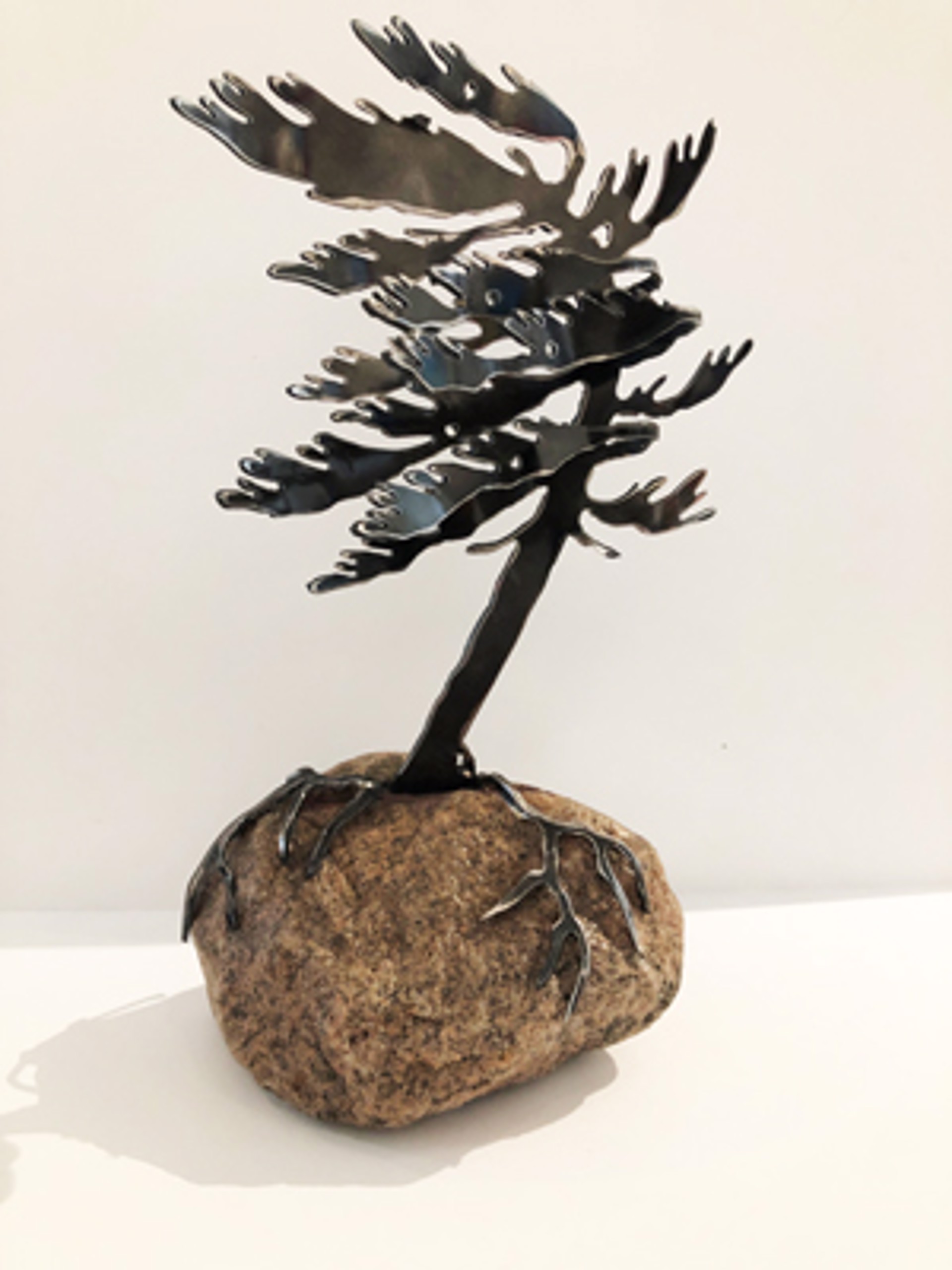 Windswept Pine 660065 by Cathy Mark